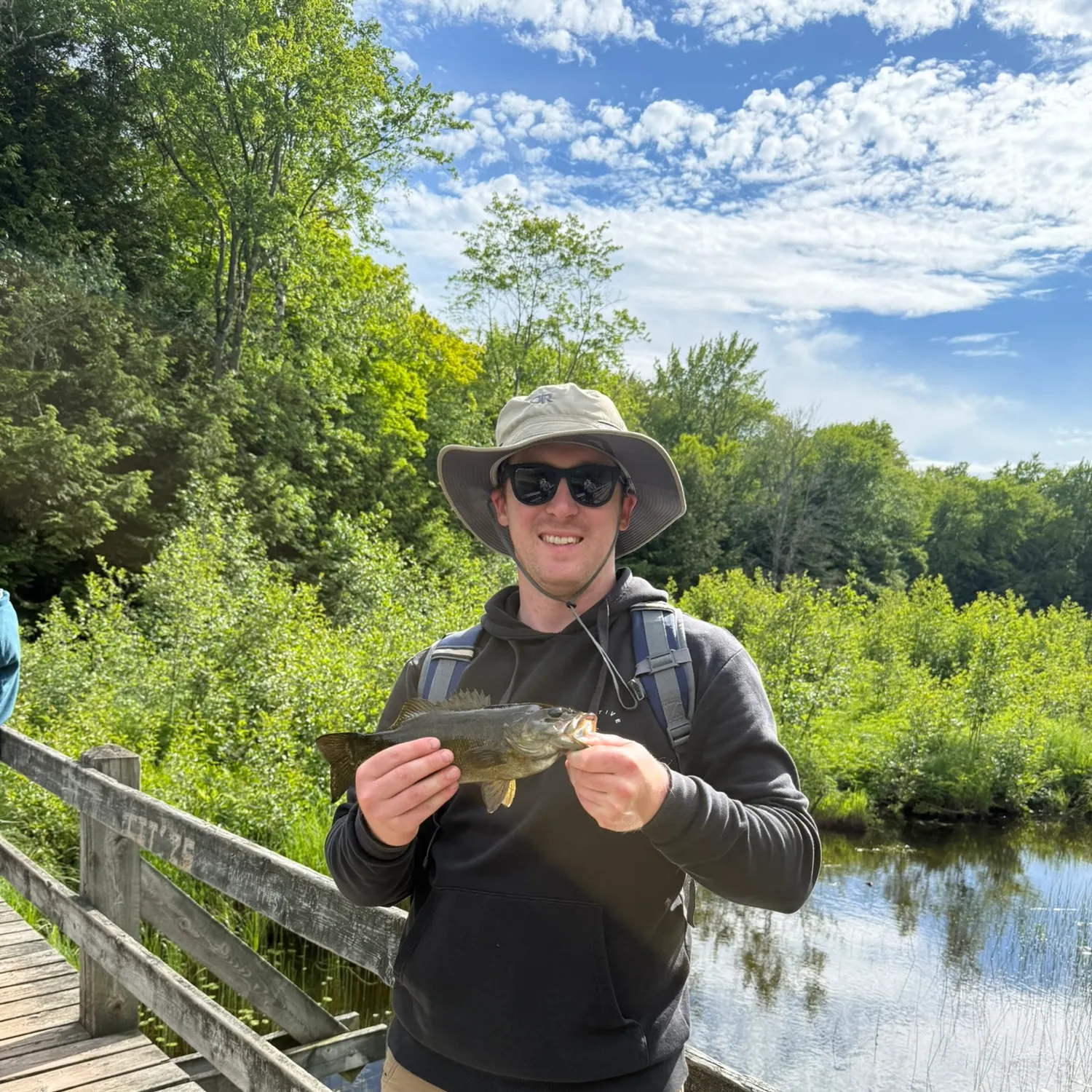 Smallmouth bass caught on Fishbrain