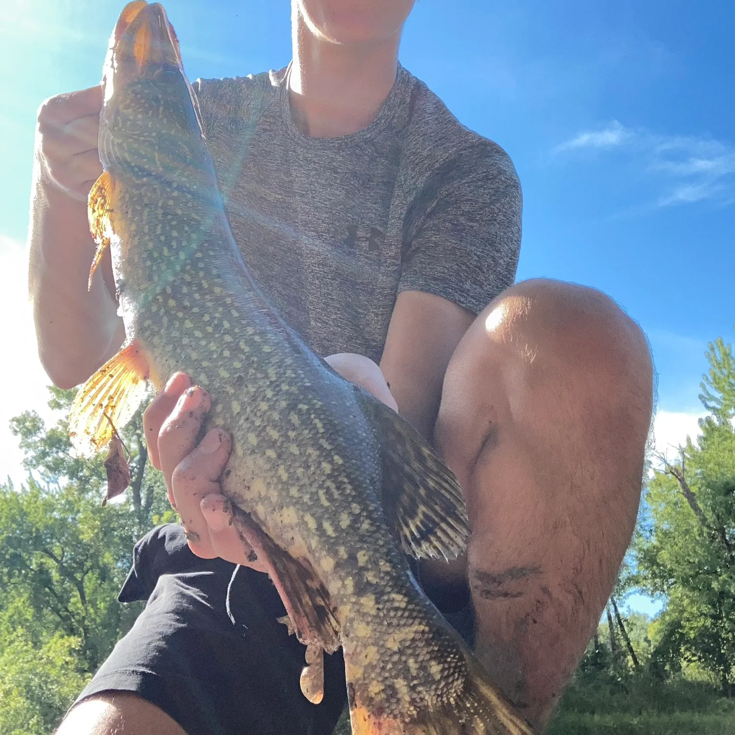 Northern pike caught on Fishbrain