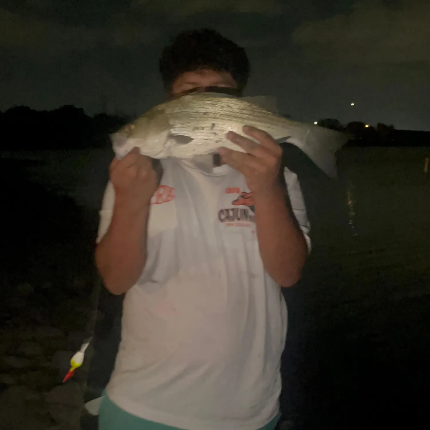 Yellow bass caught on Fishbrain