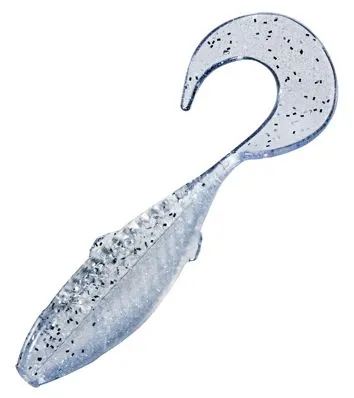 Curly Tail Minnow