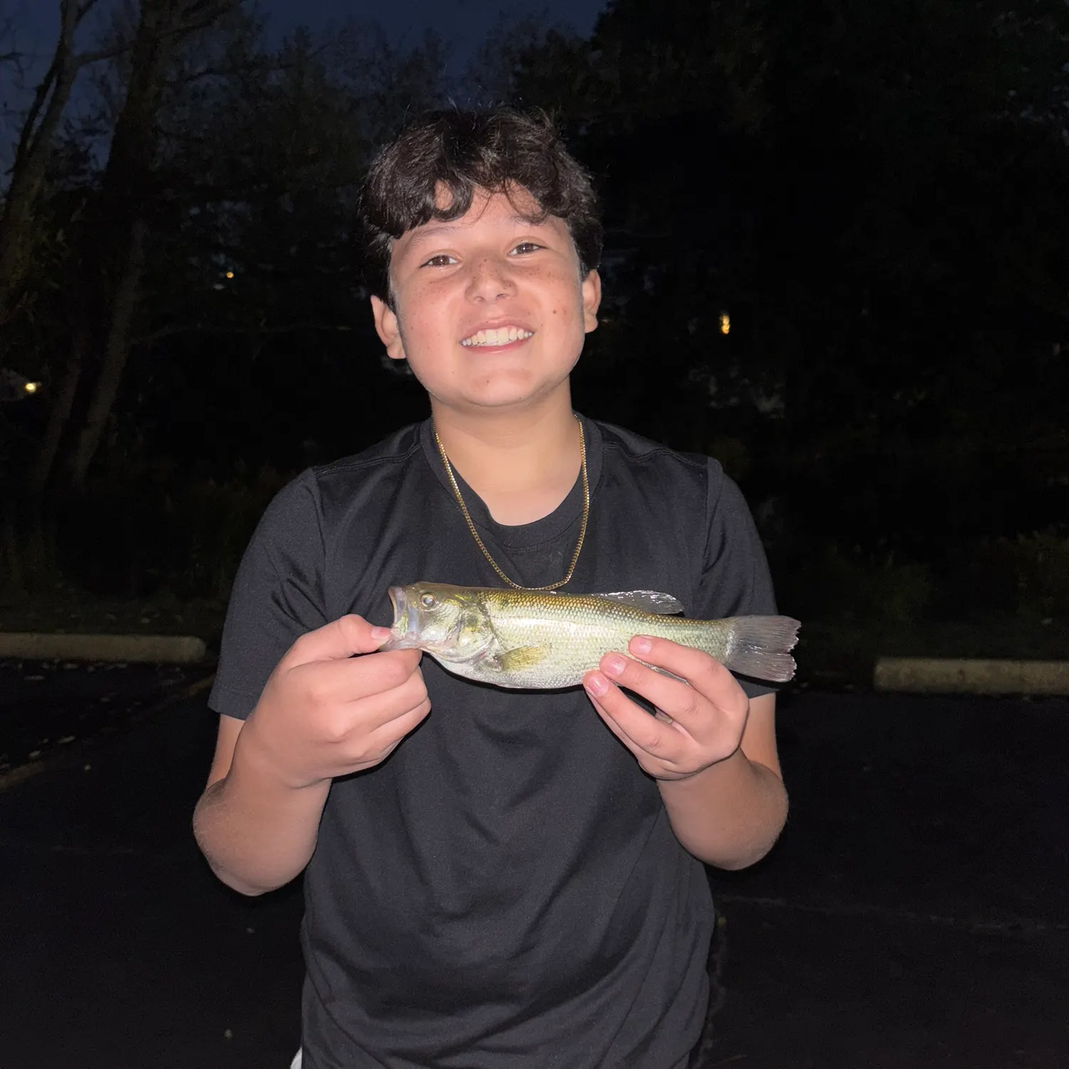 Smallmouth bass caught on Fishbrain