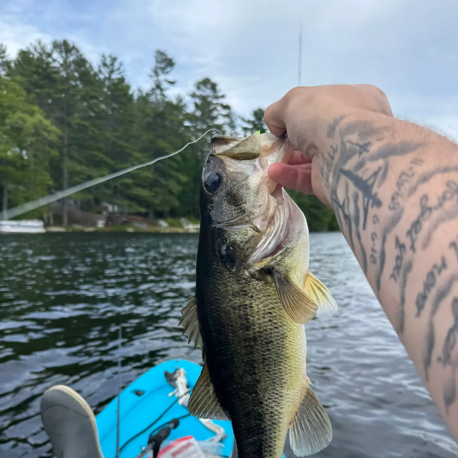 recently logged catches