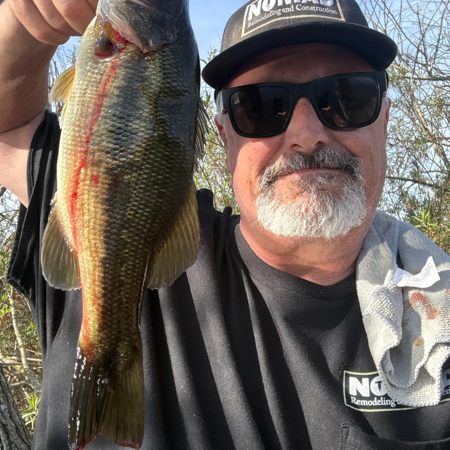 The most recent Largemouth bass catches on Fishbrain