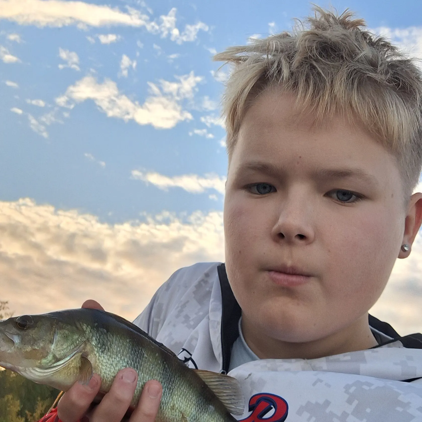 European perch caught on Fishbrain