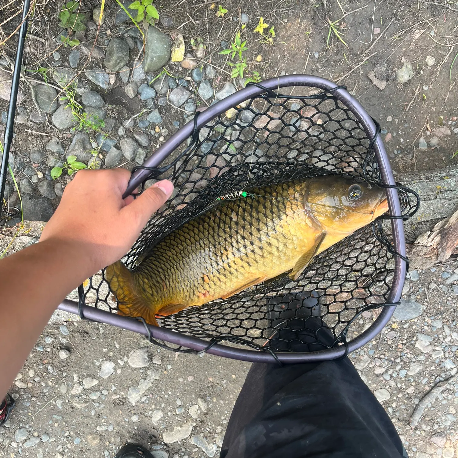 catch