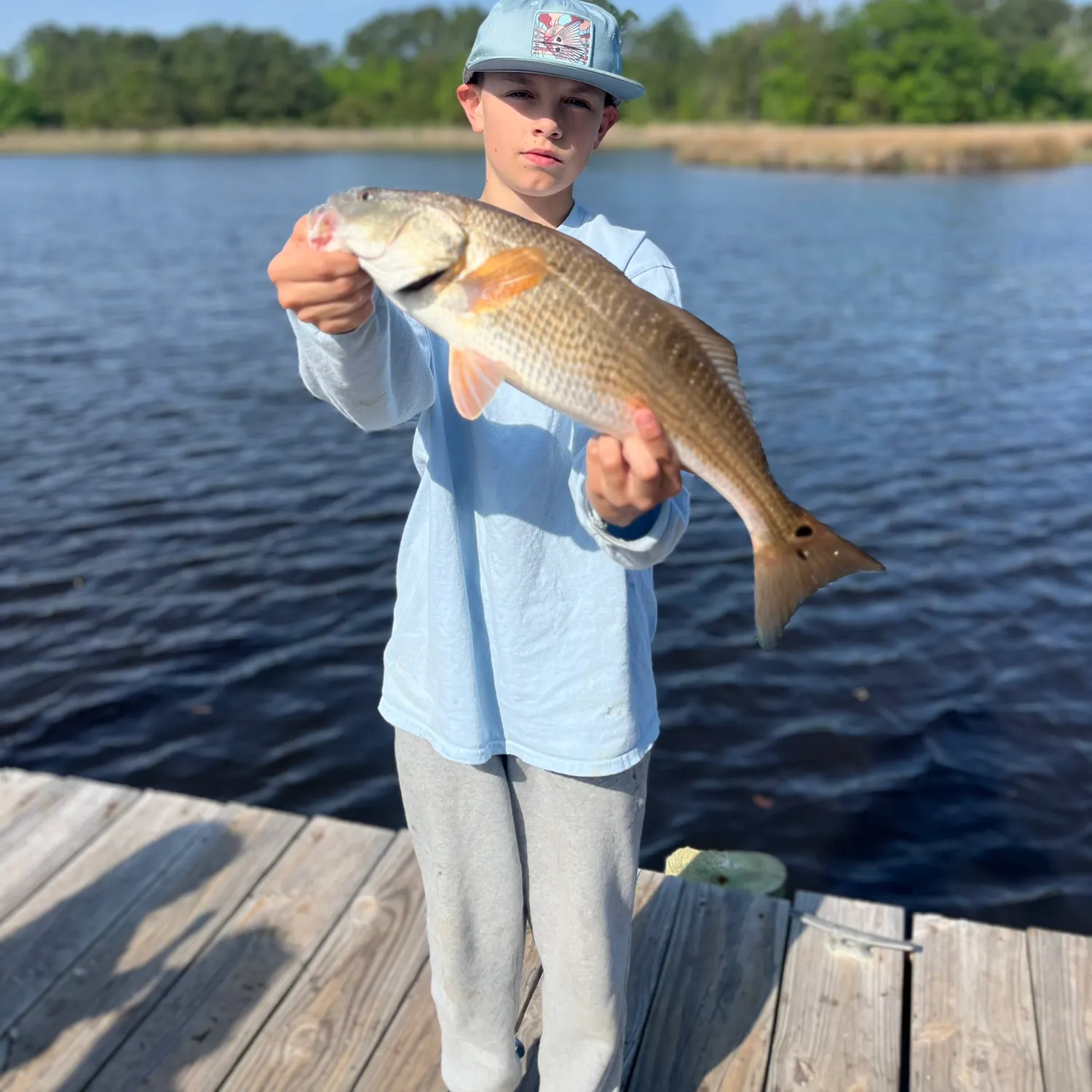 The most recent Red drum catches on Fishbrain
