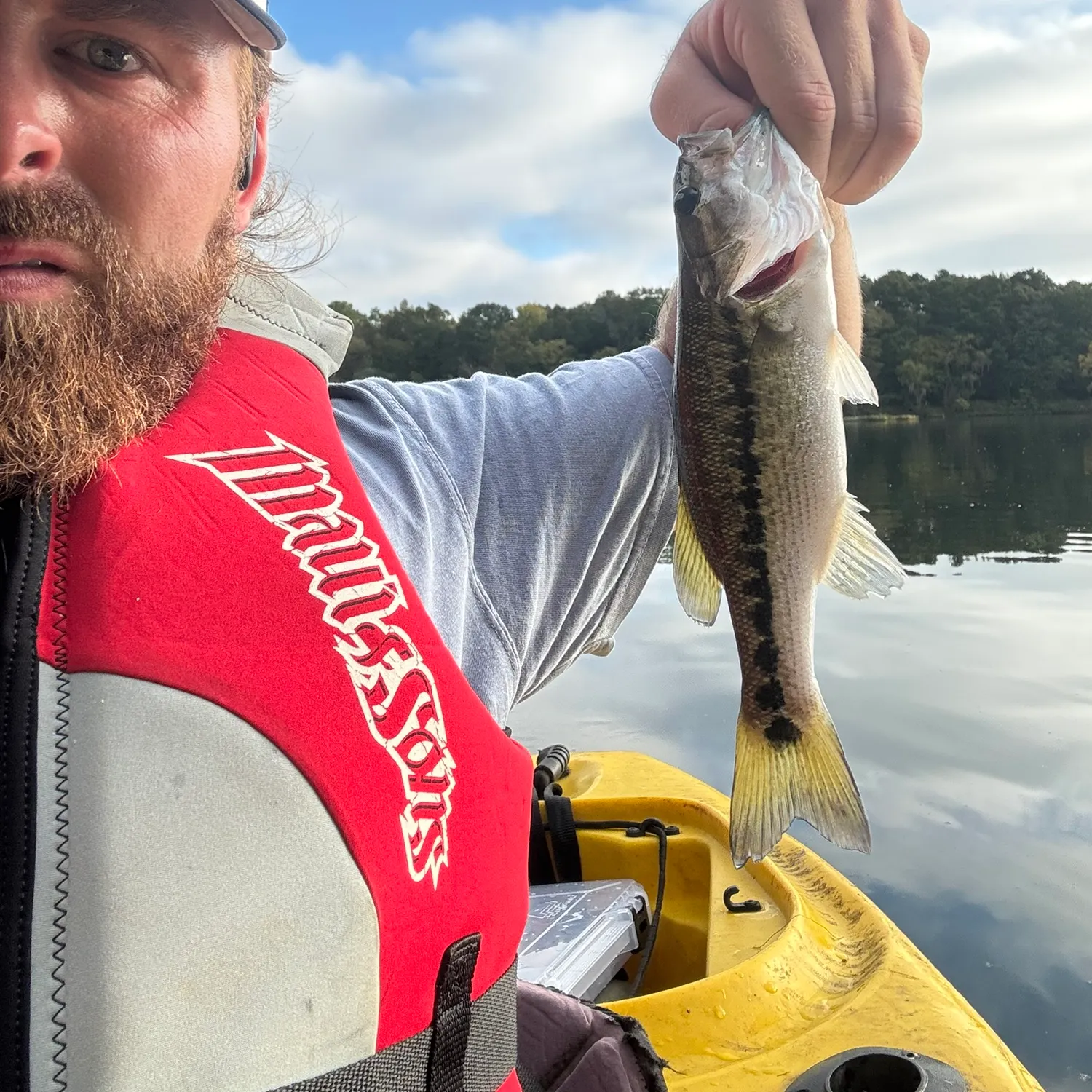 Largemouth bass caught on Fishbrain