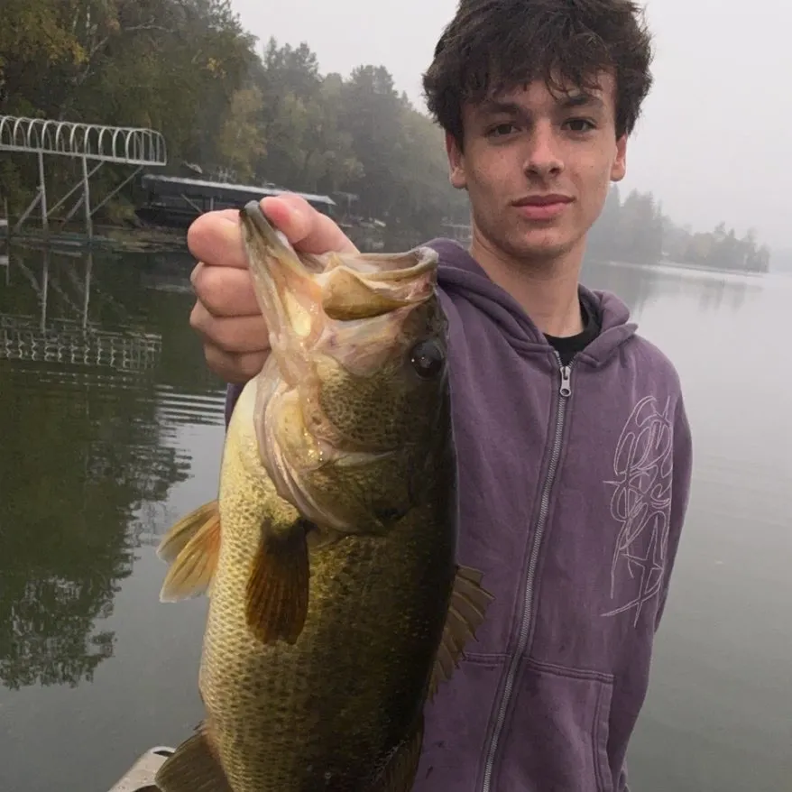 Largemouth bass caught on Fishbrain
