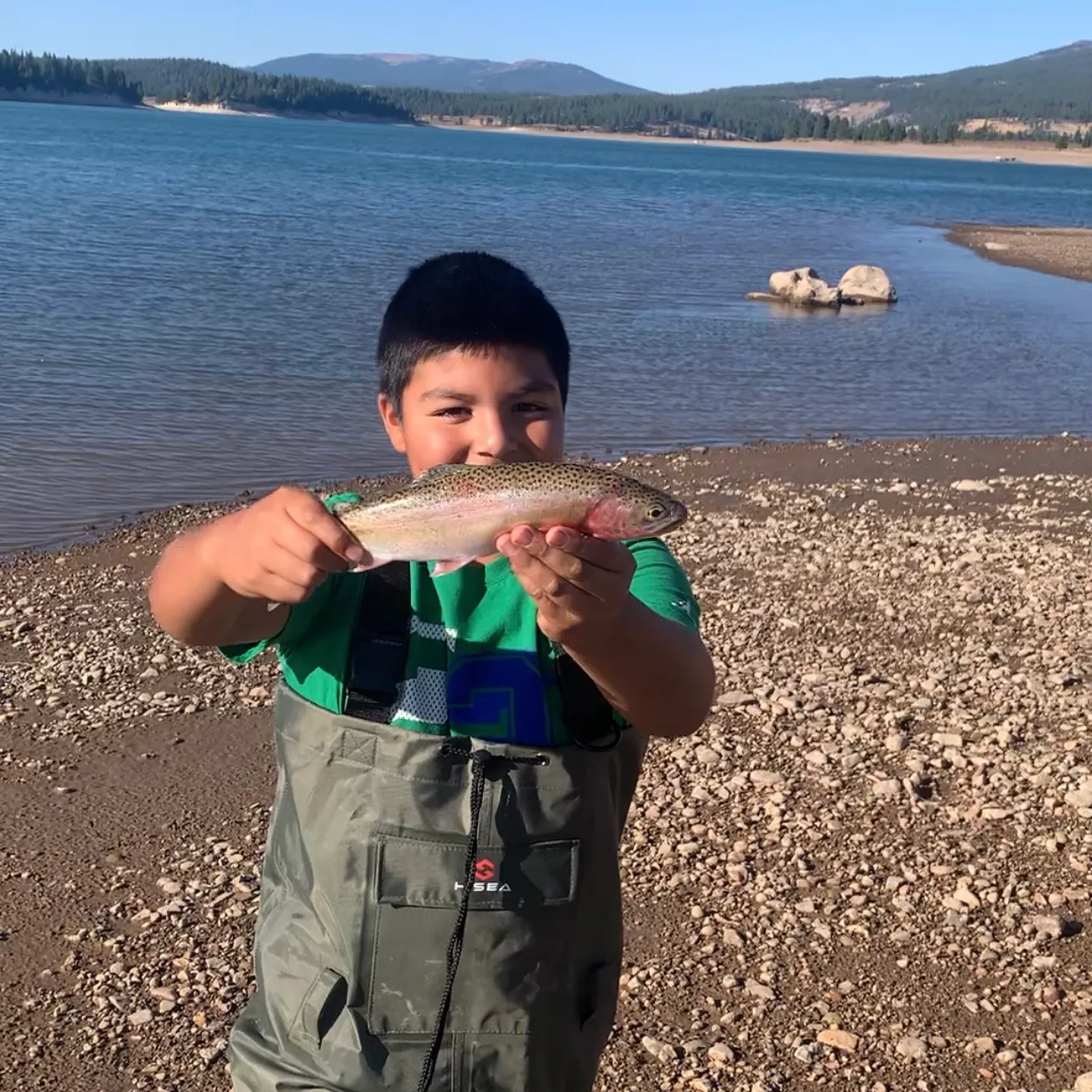 Rainbow trout caught on Fishbrain