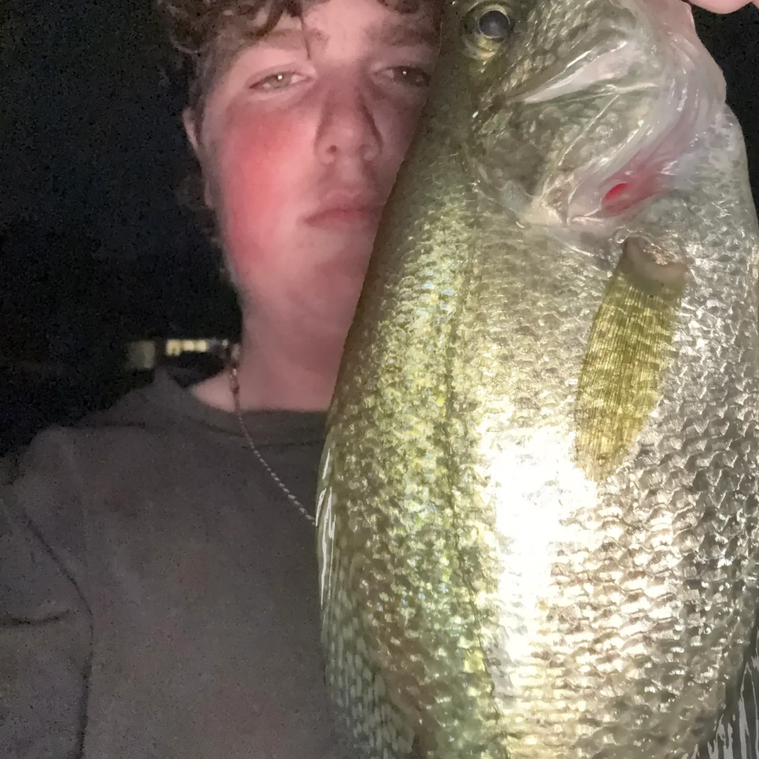 Black crappie caught on Fishbrain