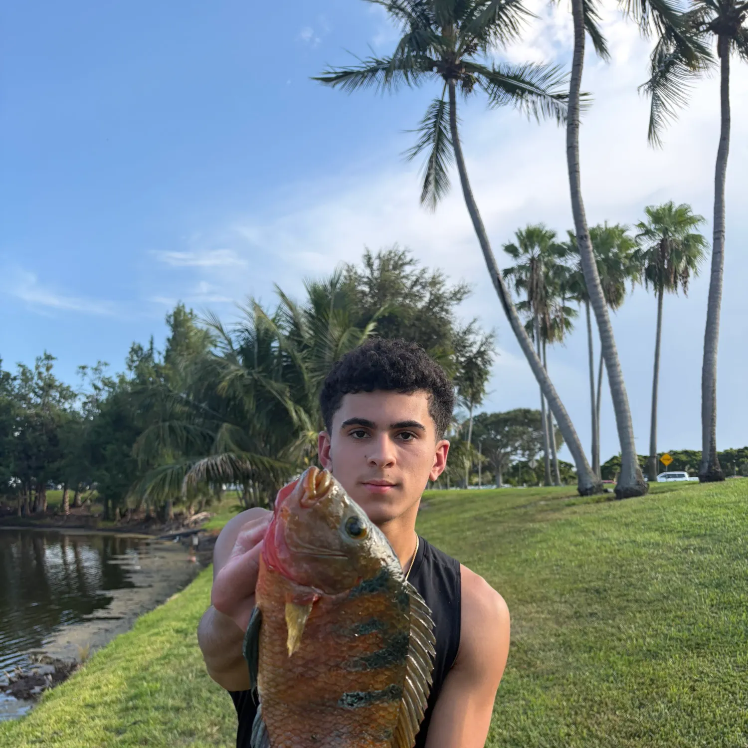 Mayan cichlid caught on Fishbrain