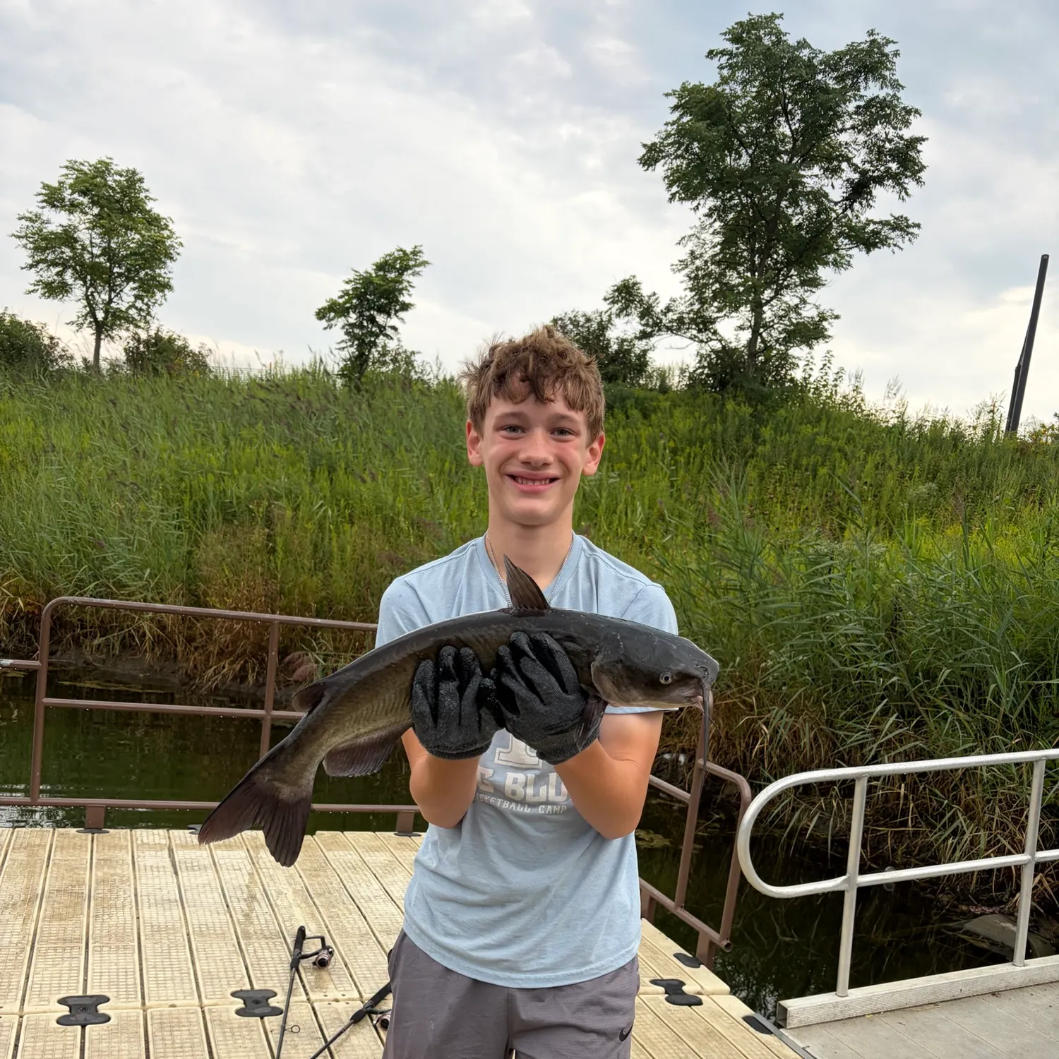Channel catfish caught on Fishbrain