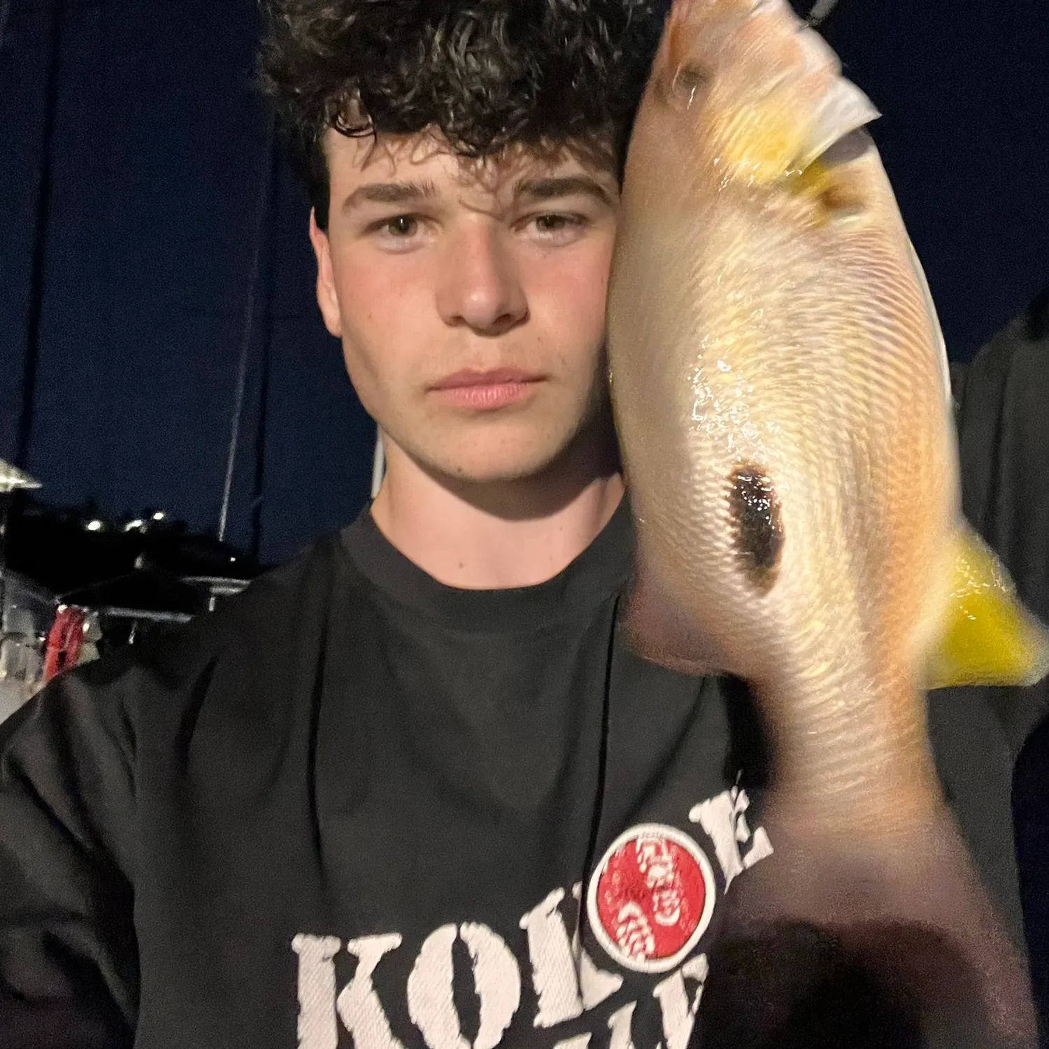 The most recent Moses perch catches on Fishbrain