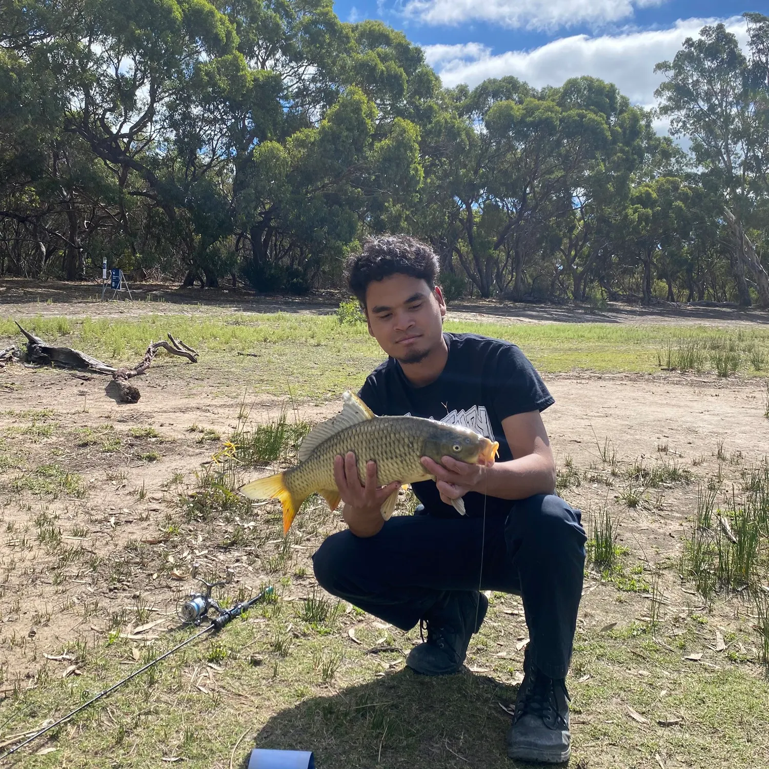 The most recent Common carp catches on Fishbrain