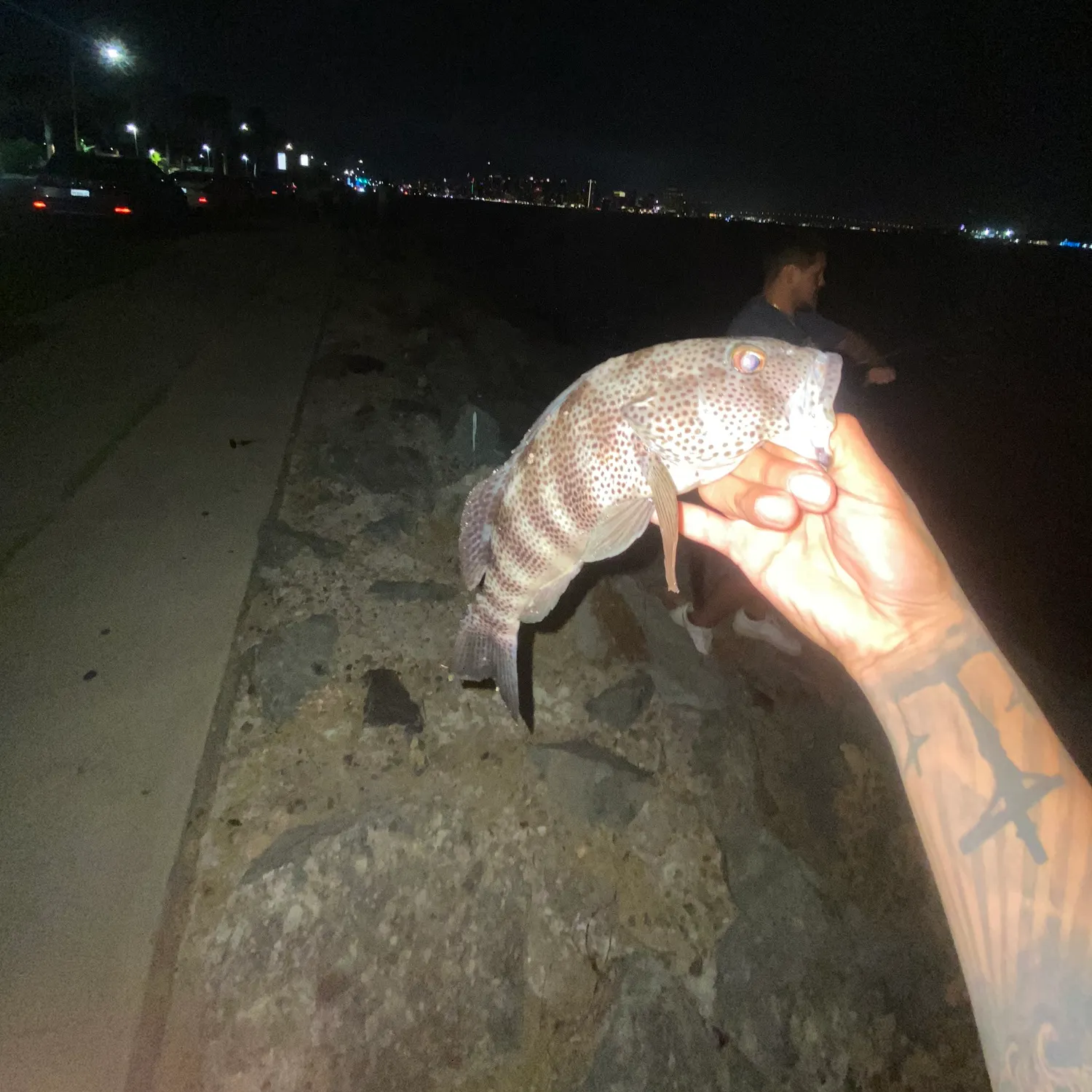 Spotted sand bass caught on Fishbrain