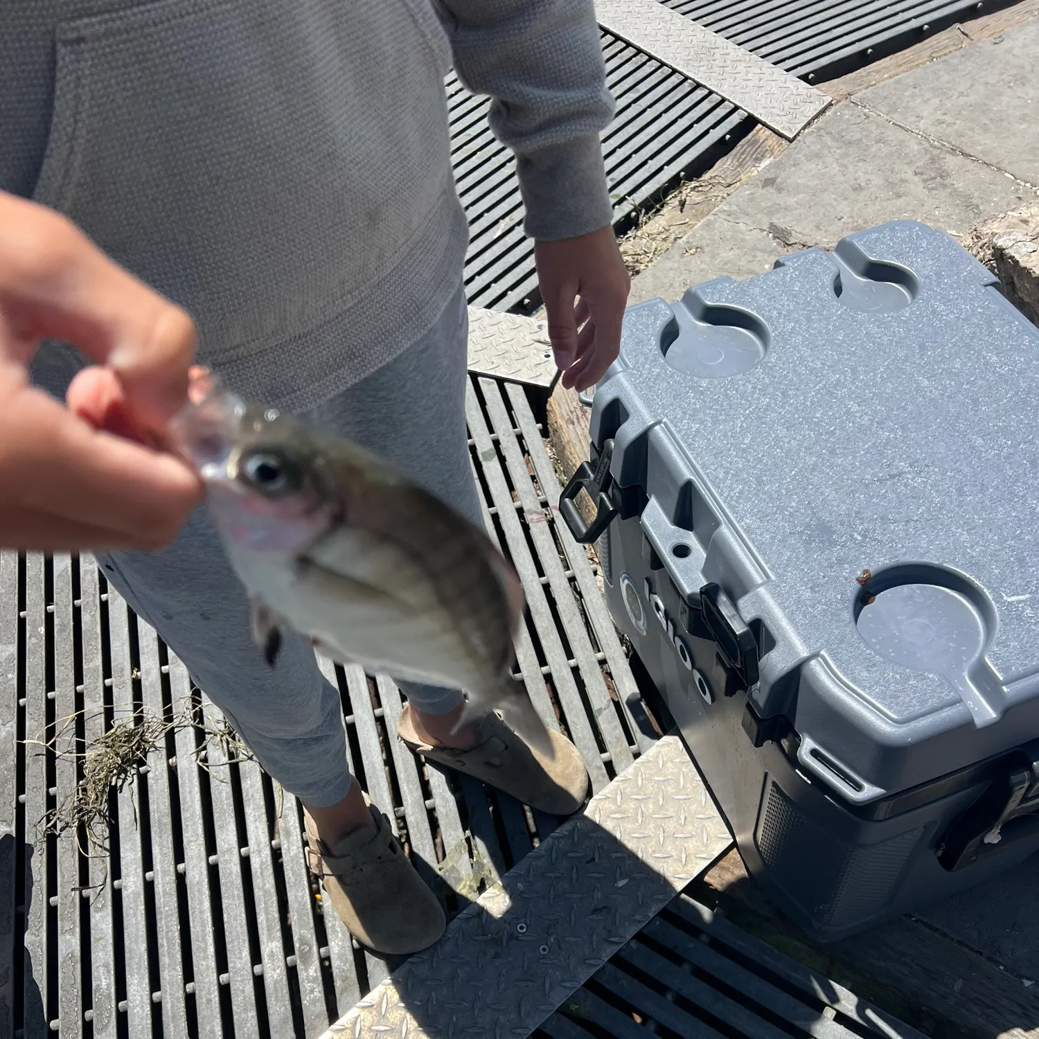 catch