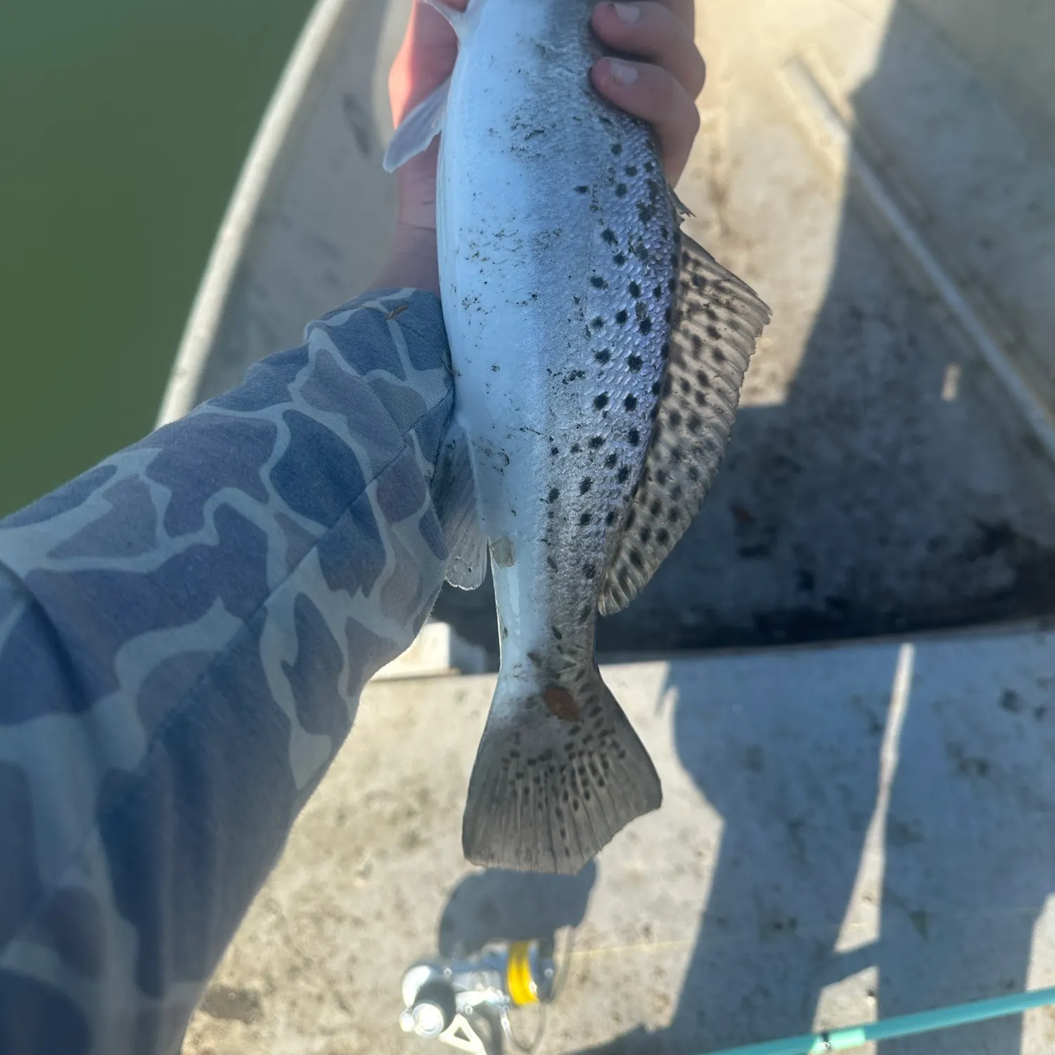 The most recent Spotted seatrout catches on Fishbrain