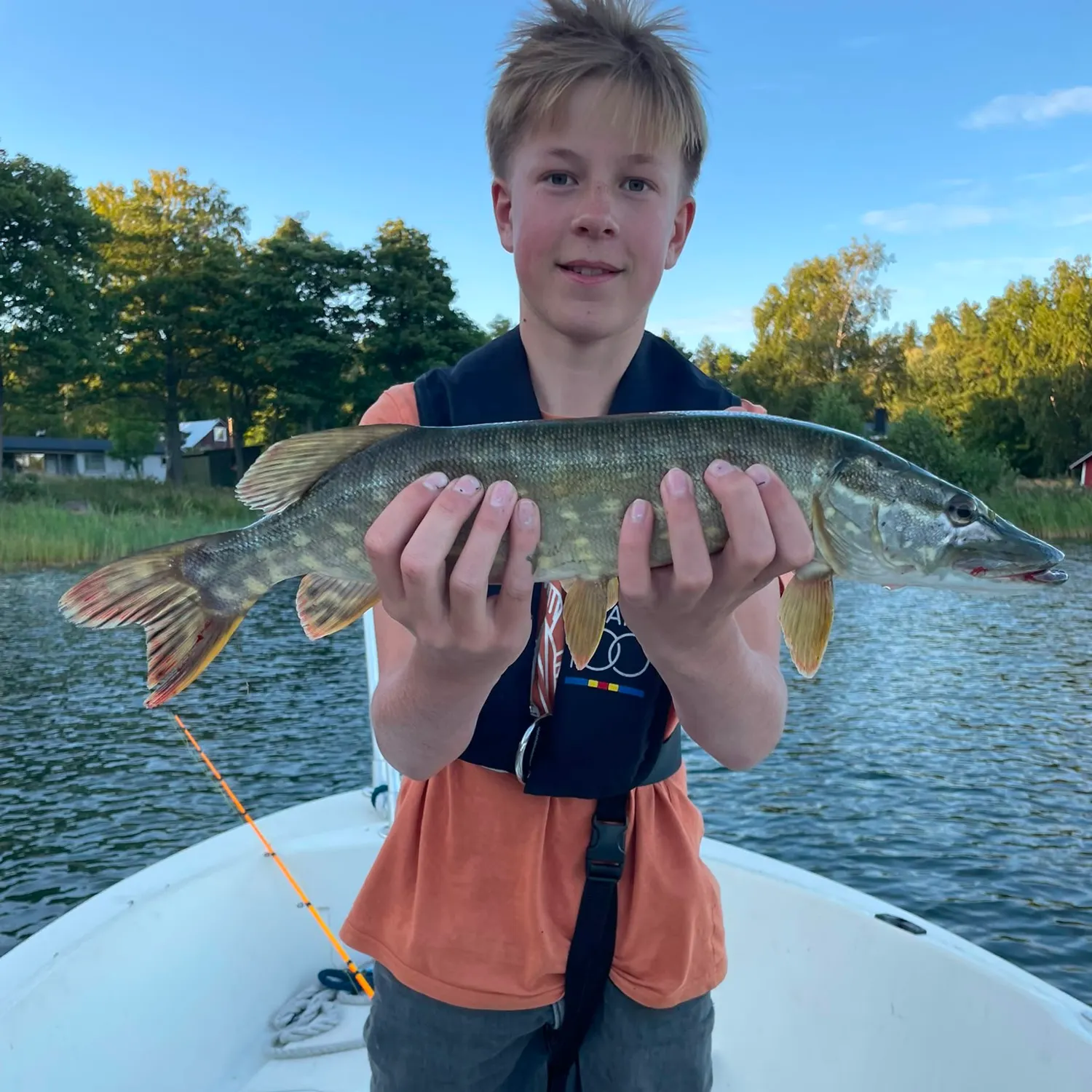 Northern pike caught on Fishbrain