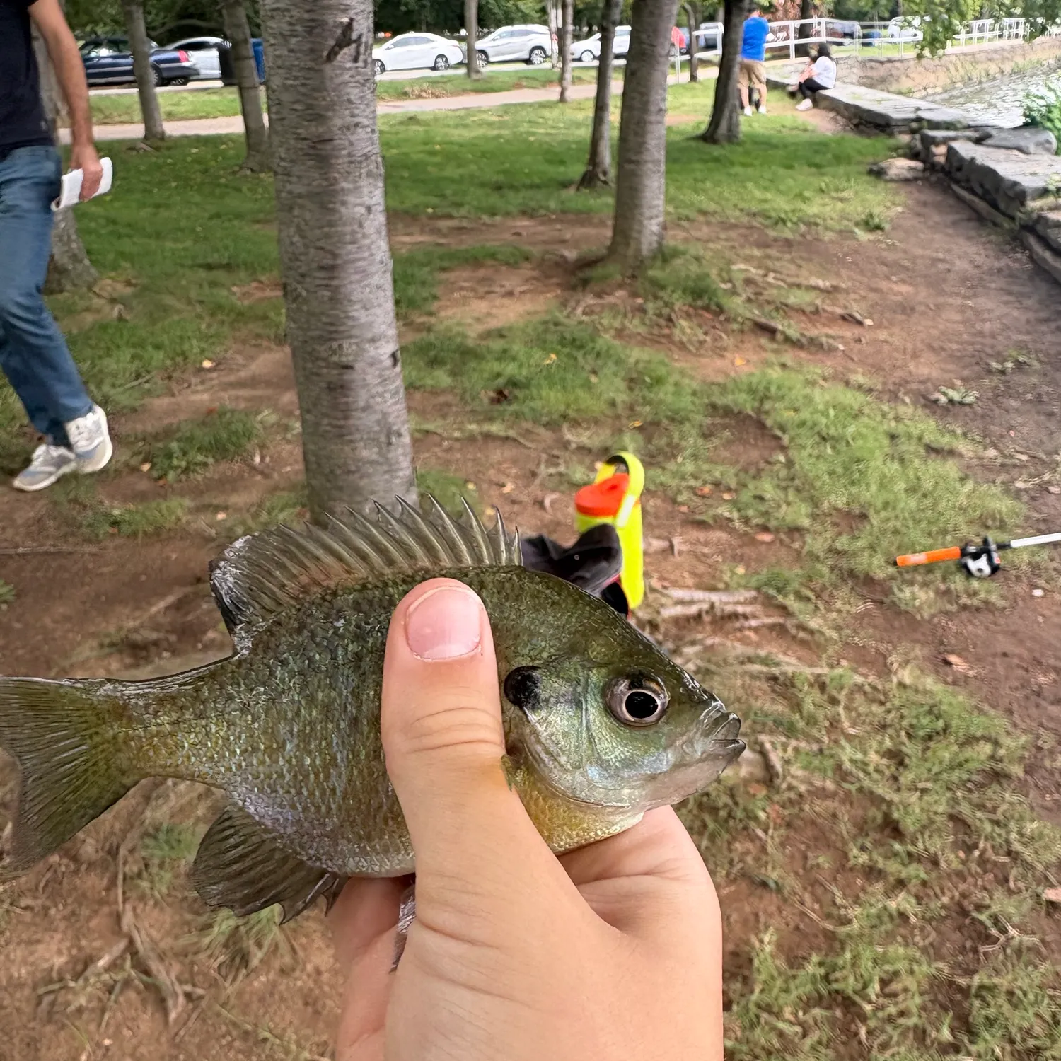 catch
