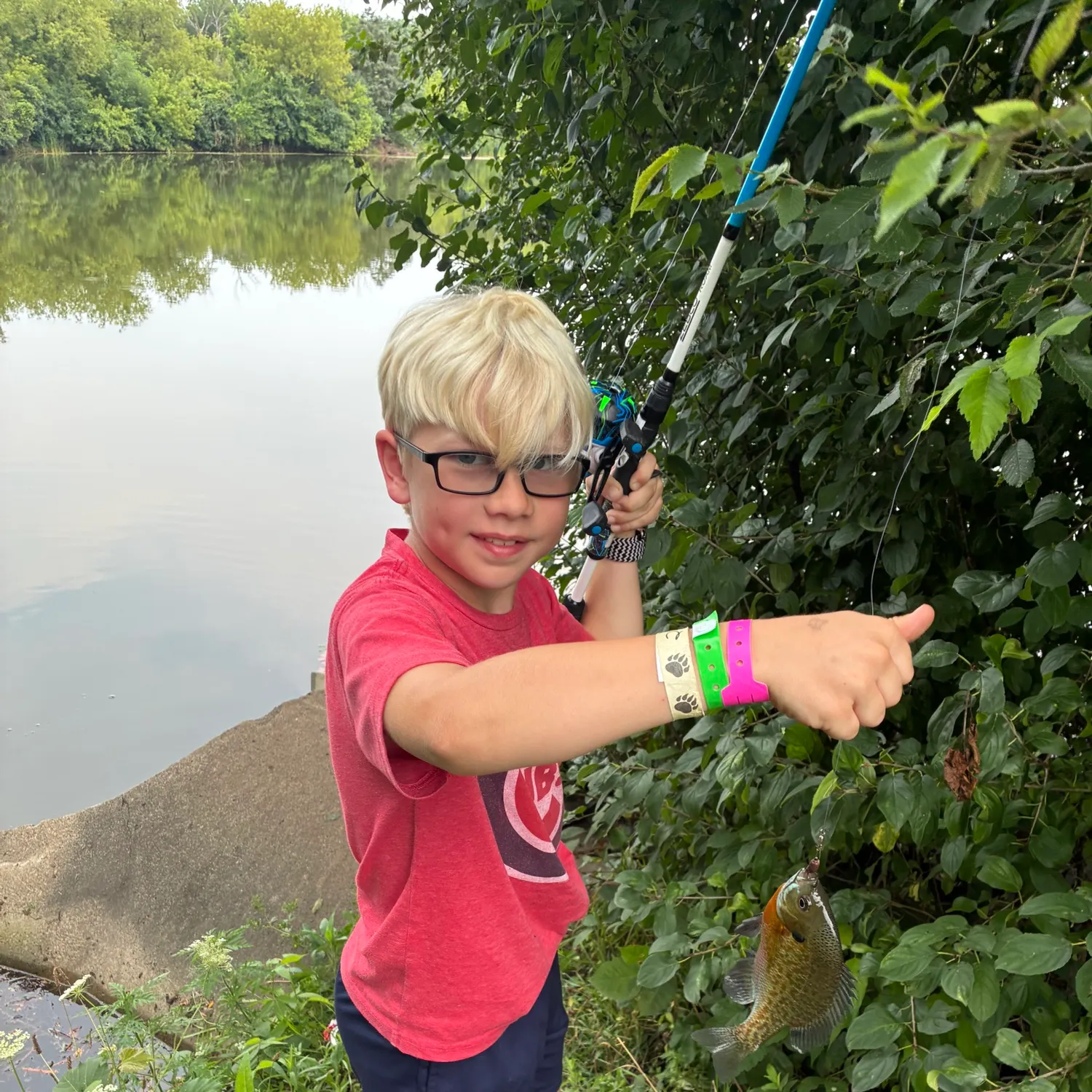 Bluegill caught on Fishbrain