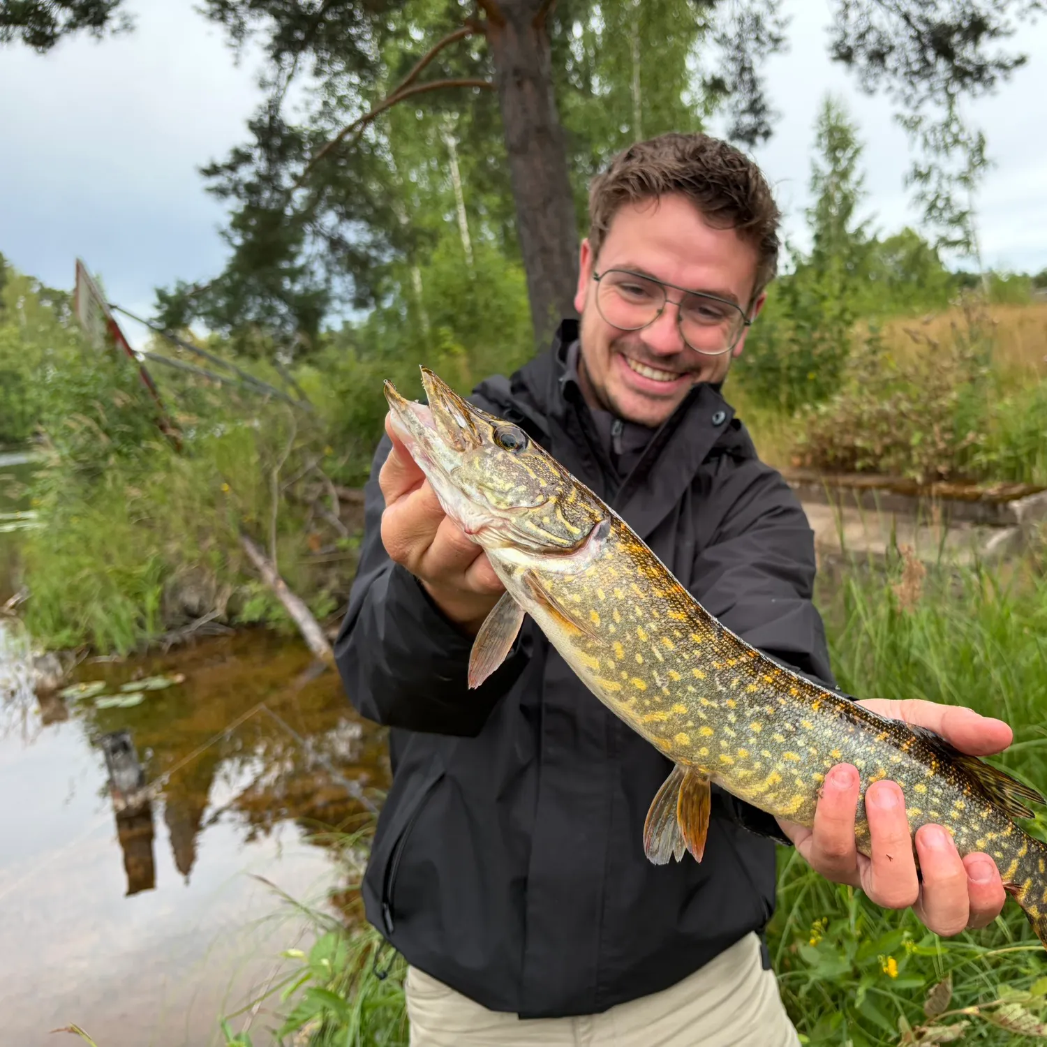 Northern pike caught on Fishbrain