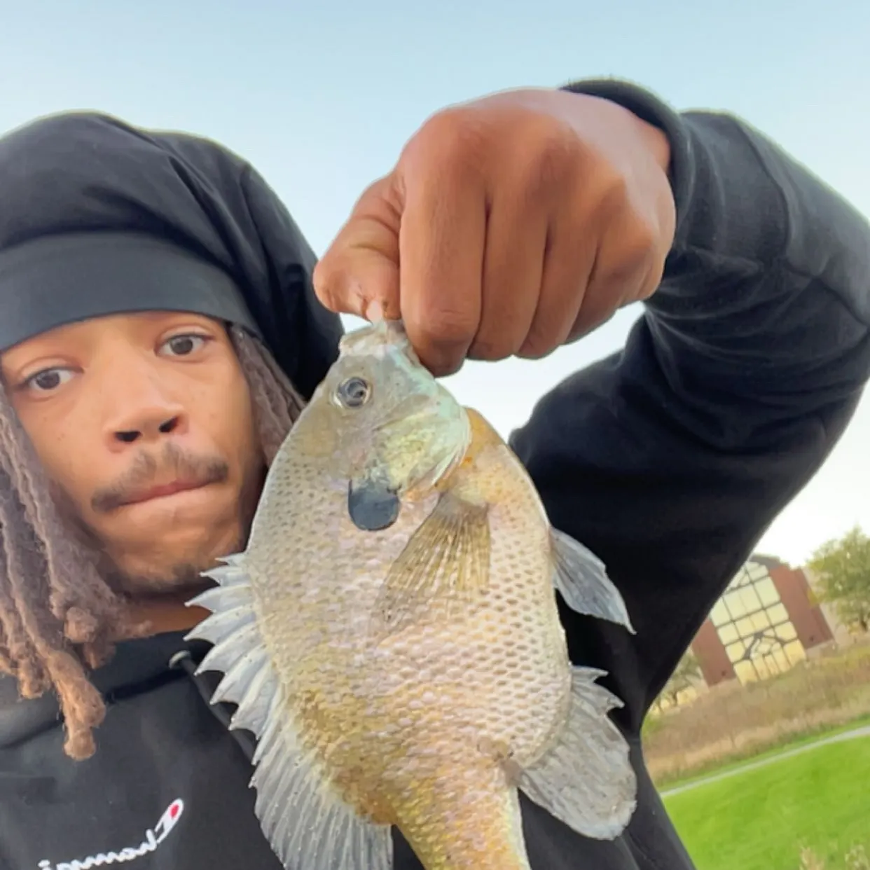 Bluegill caught on Fishbrain