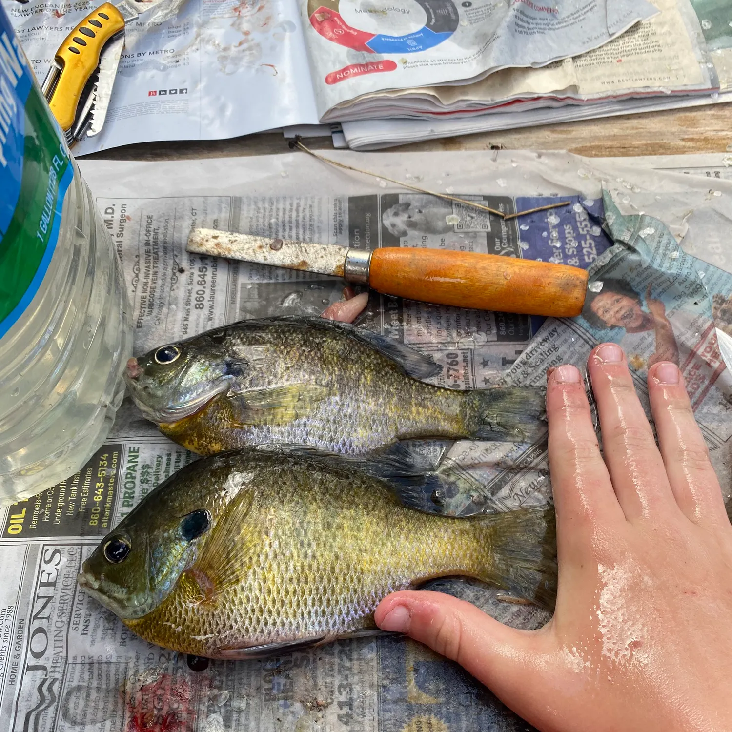 recently logged catches