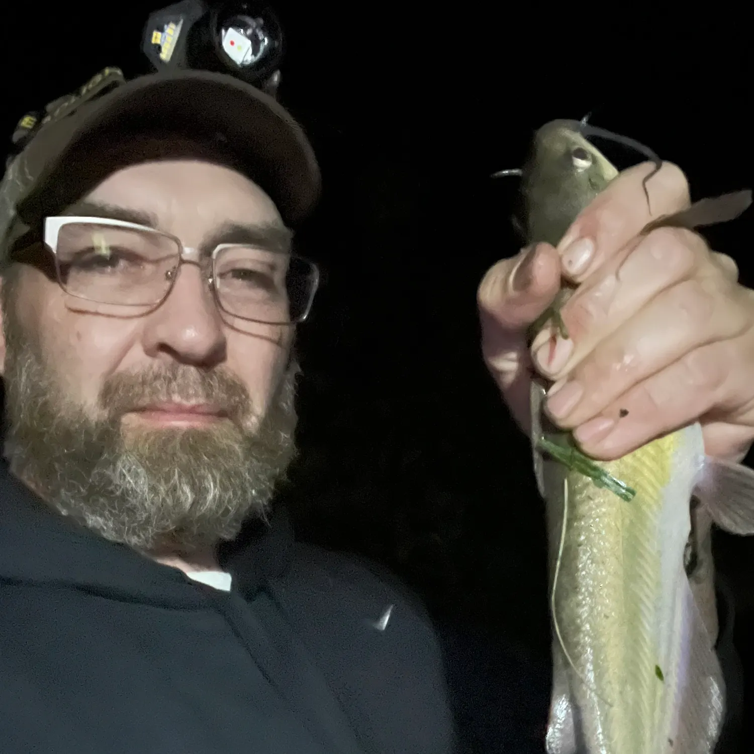 Channel catfish caught on Fishbrain