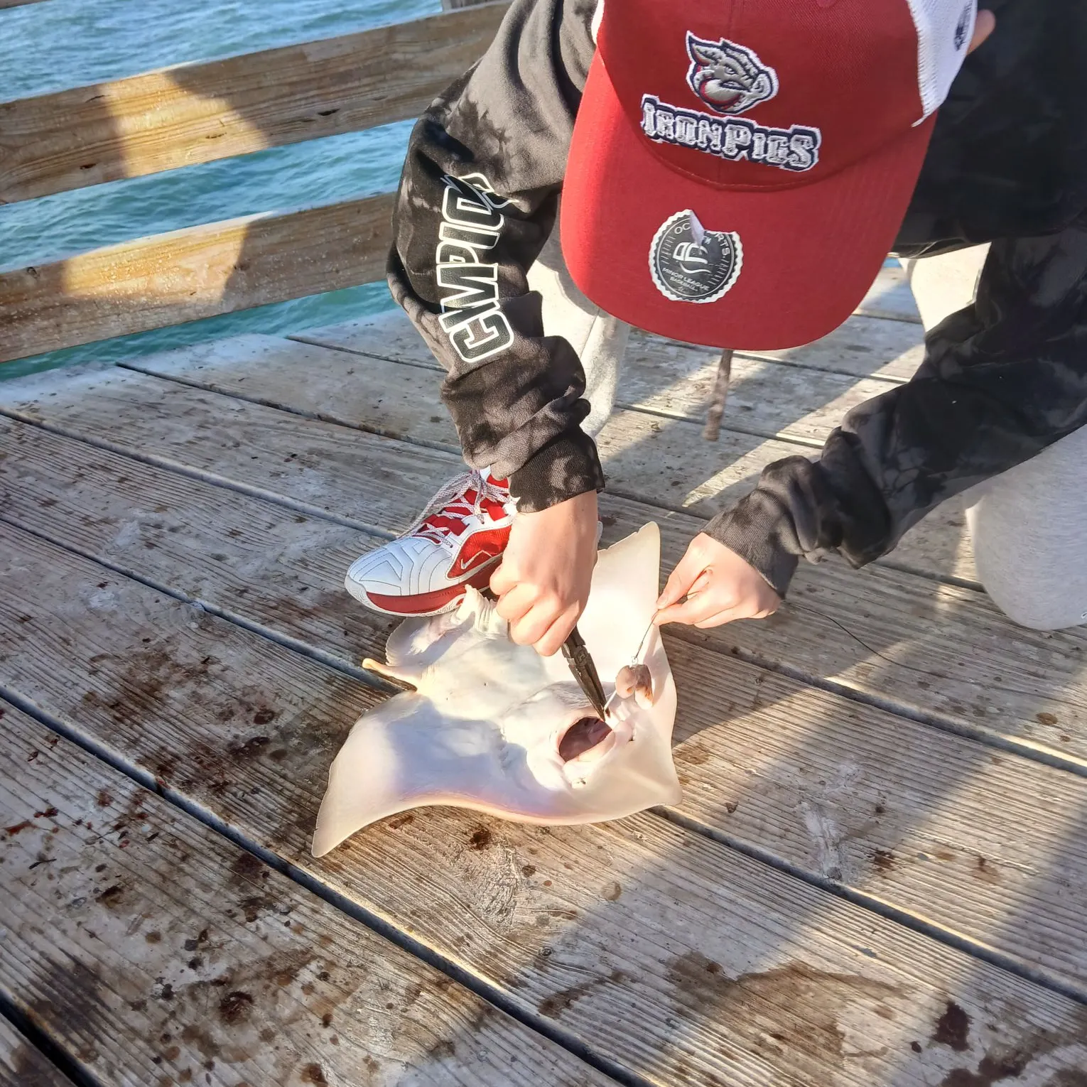 The most recent Starry ray catches on Fishbrain