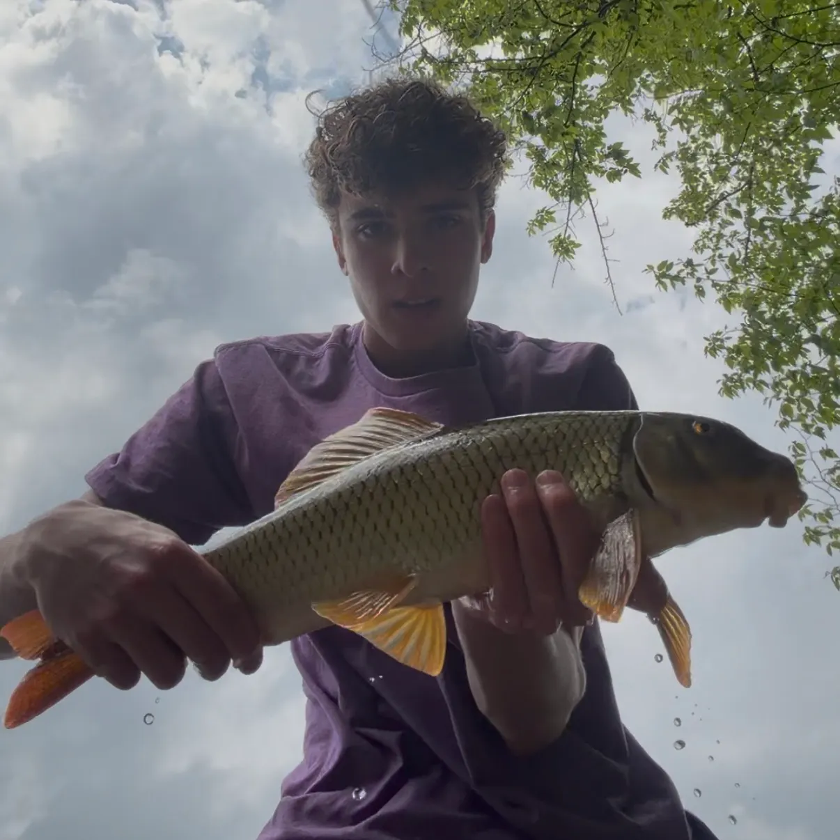 The most recent Shorthead redhorse catches on Fishbrain