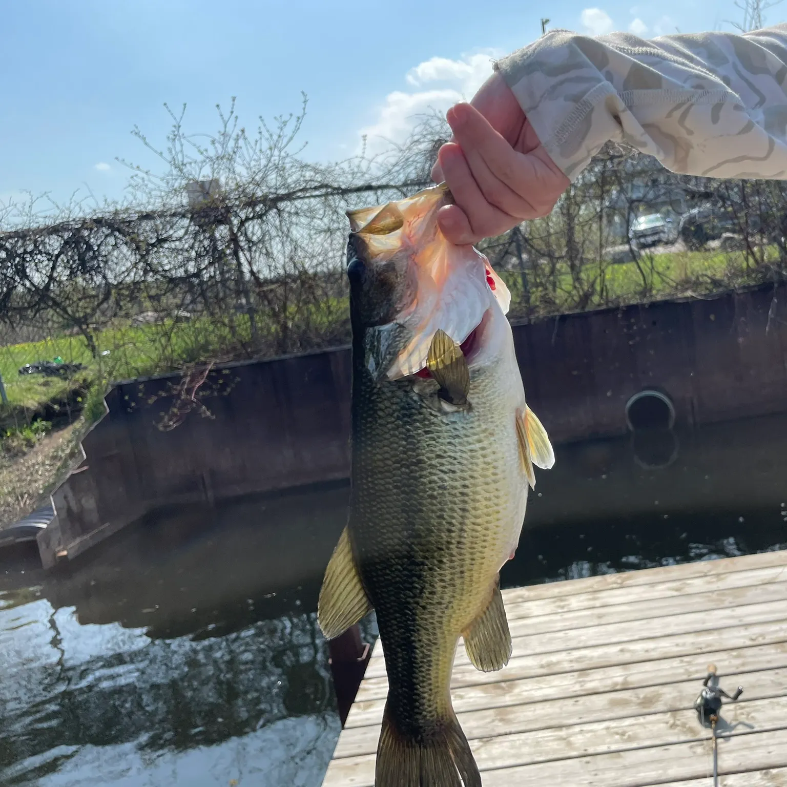 catch