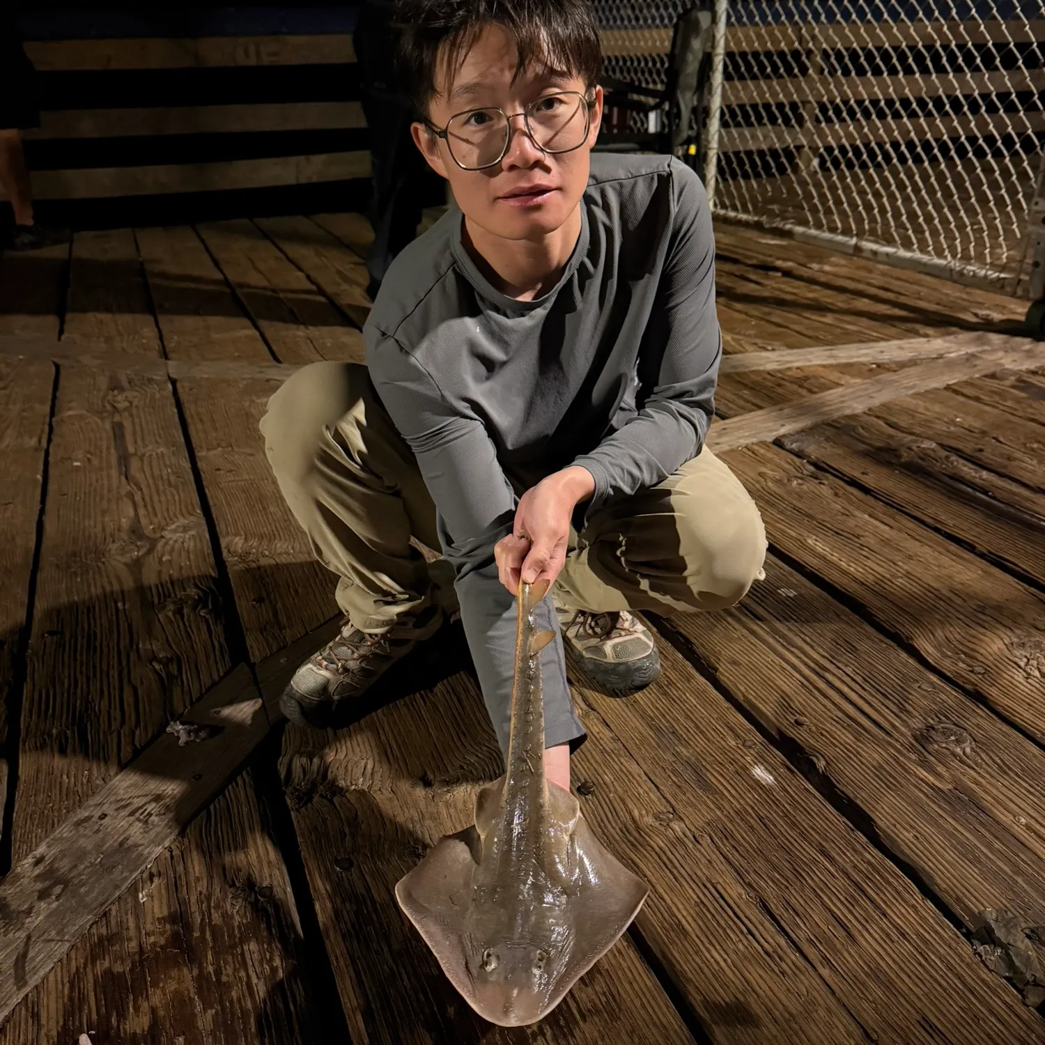 The most recent Thornback guitarfish catches on Fishbrain