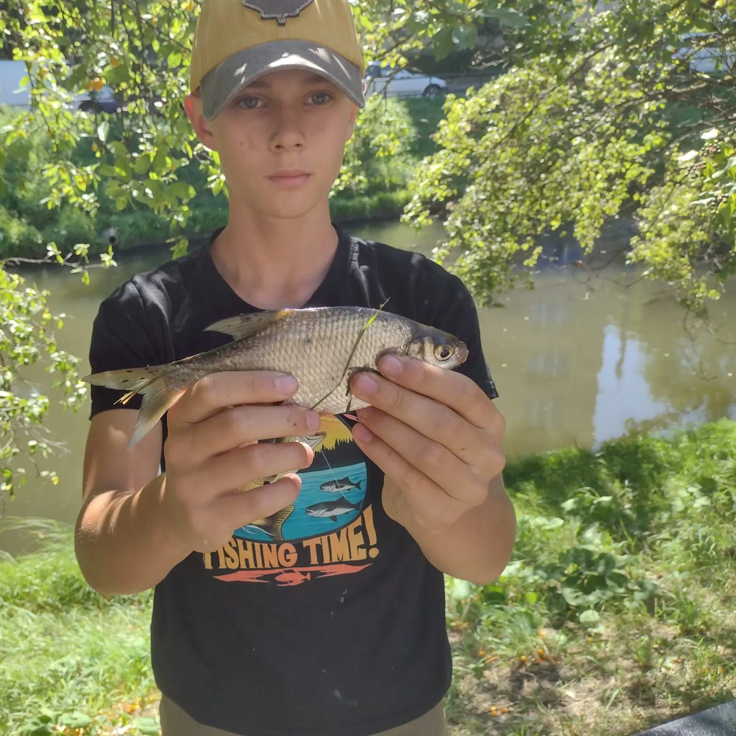 Common bream caught on Fishbrain