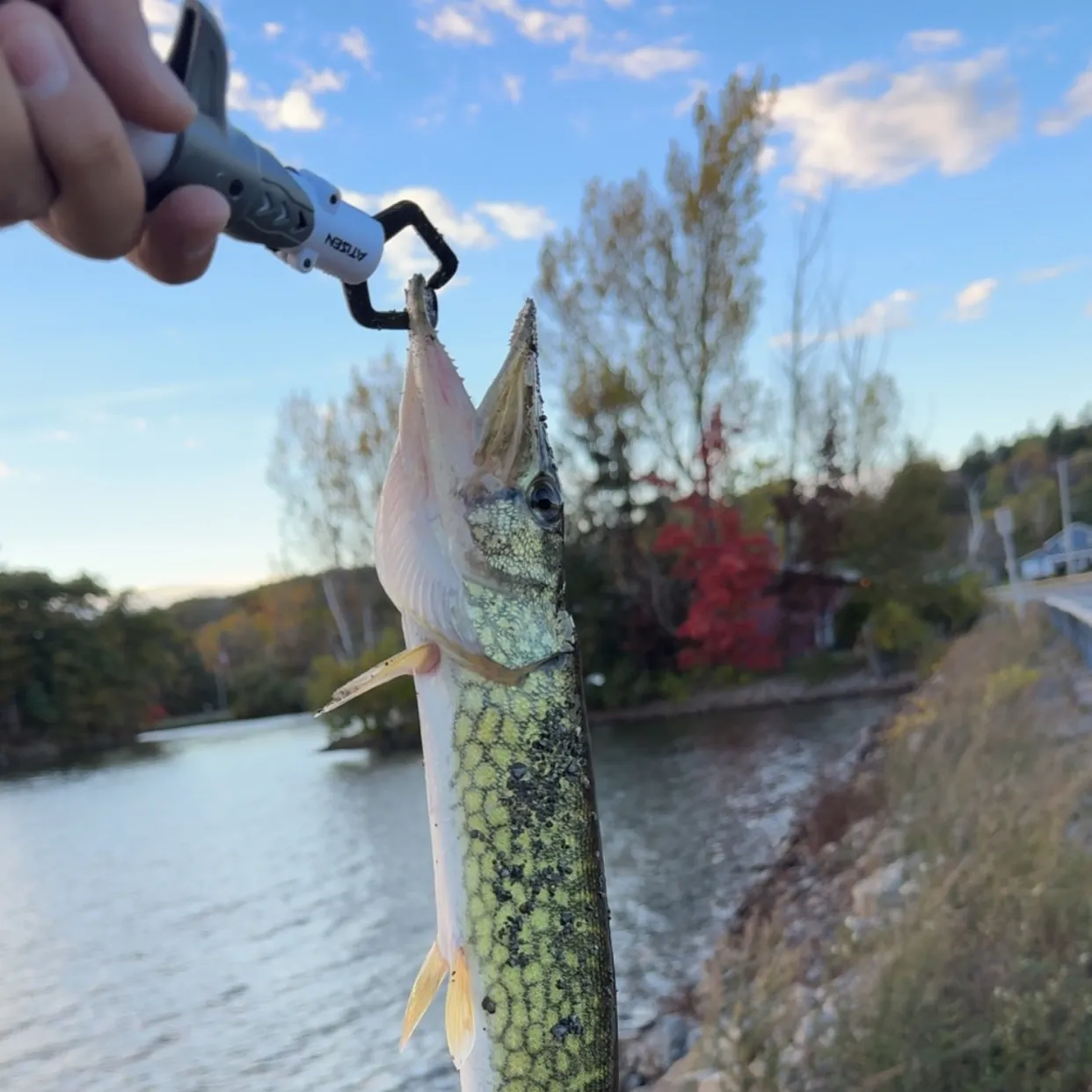 catch
