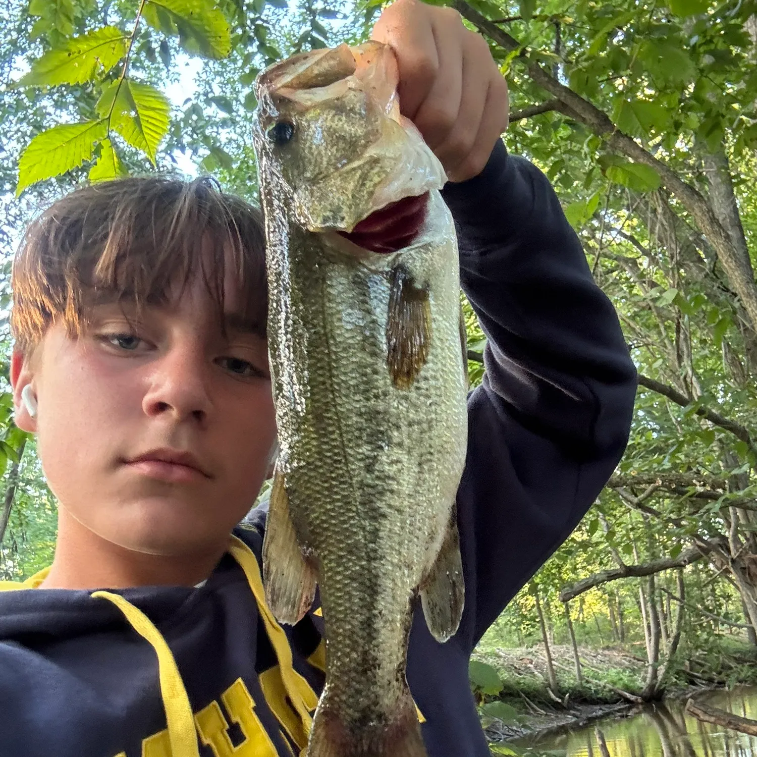 Largemouth bass caught on Fishbrain