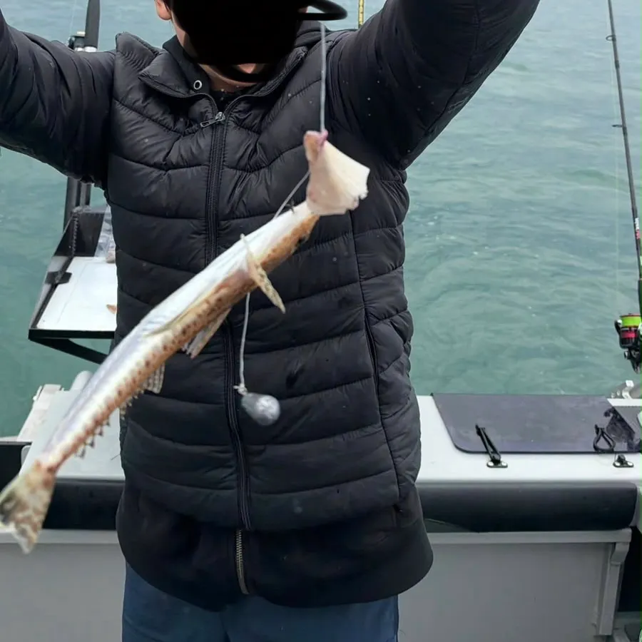 Dusky flathead caught on Fishbrain