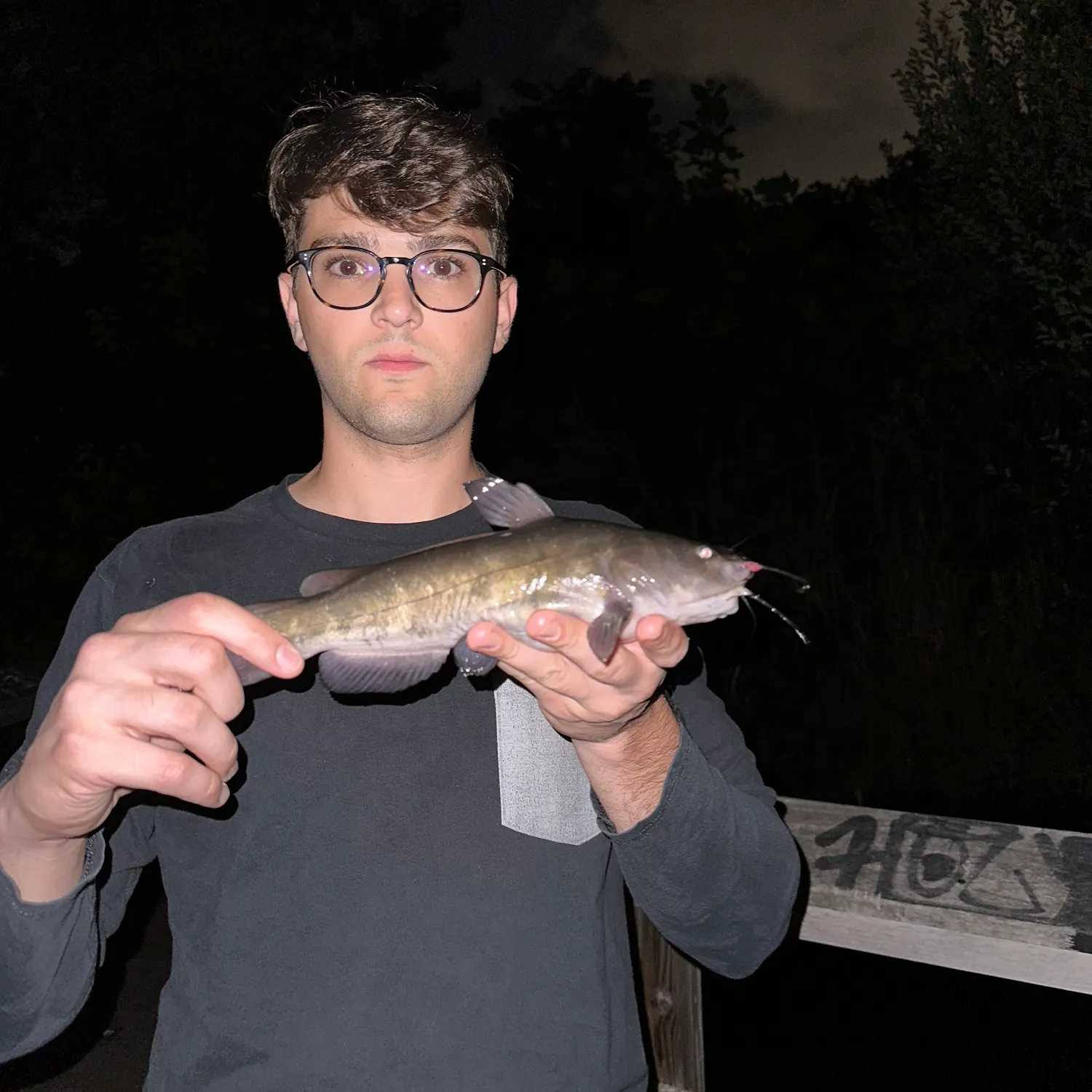 angler catch