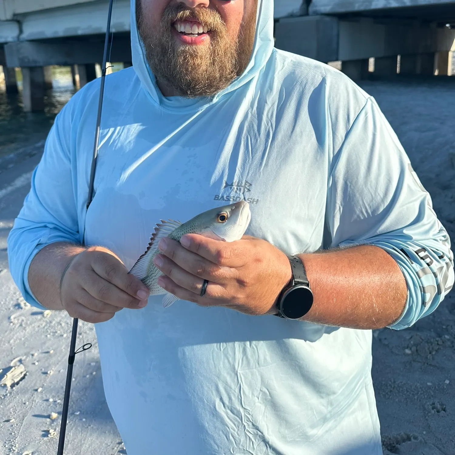 Pinfish caught on Fishbrain