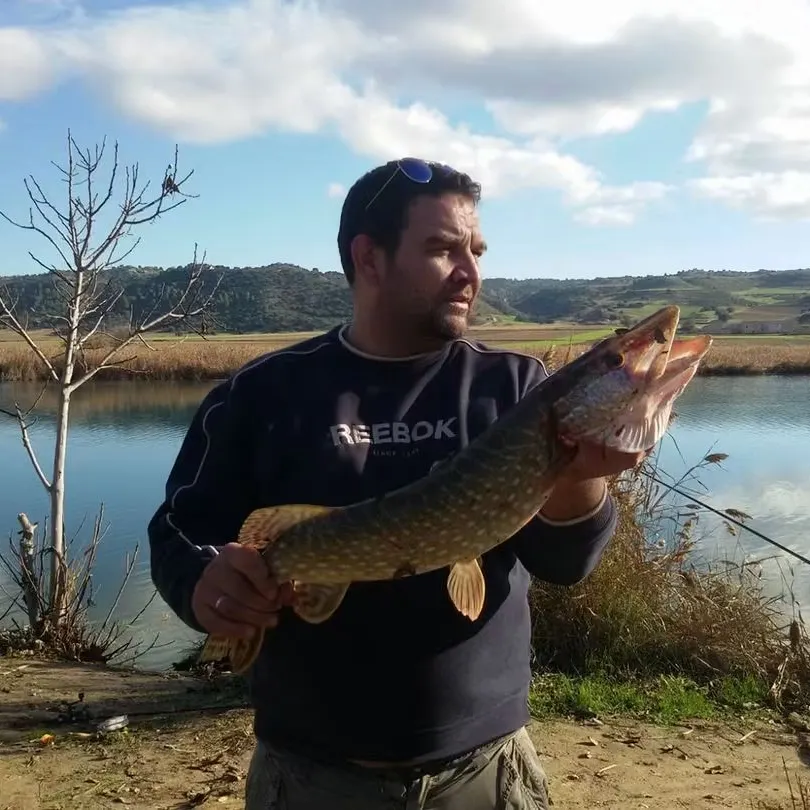 Northern pike caught on Fishbrain