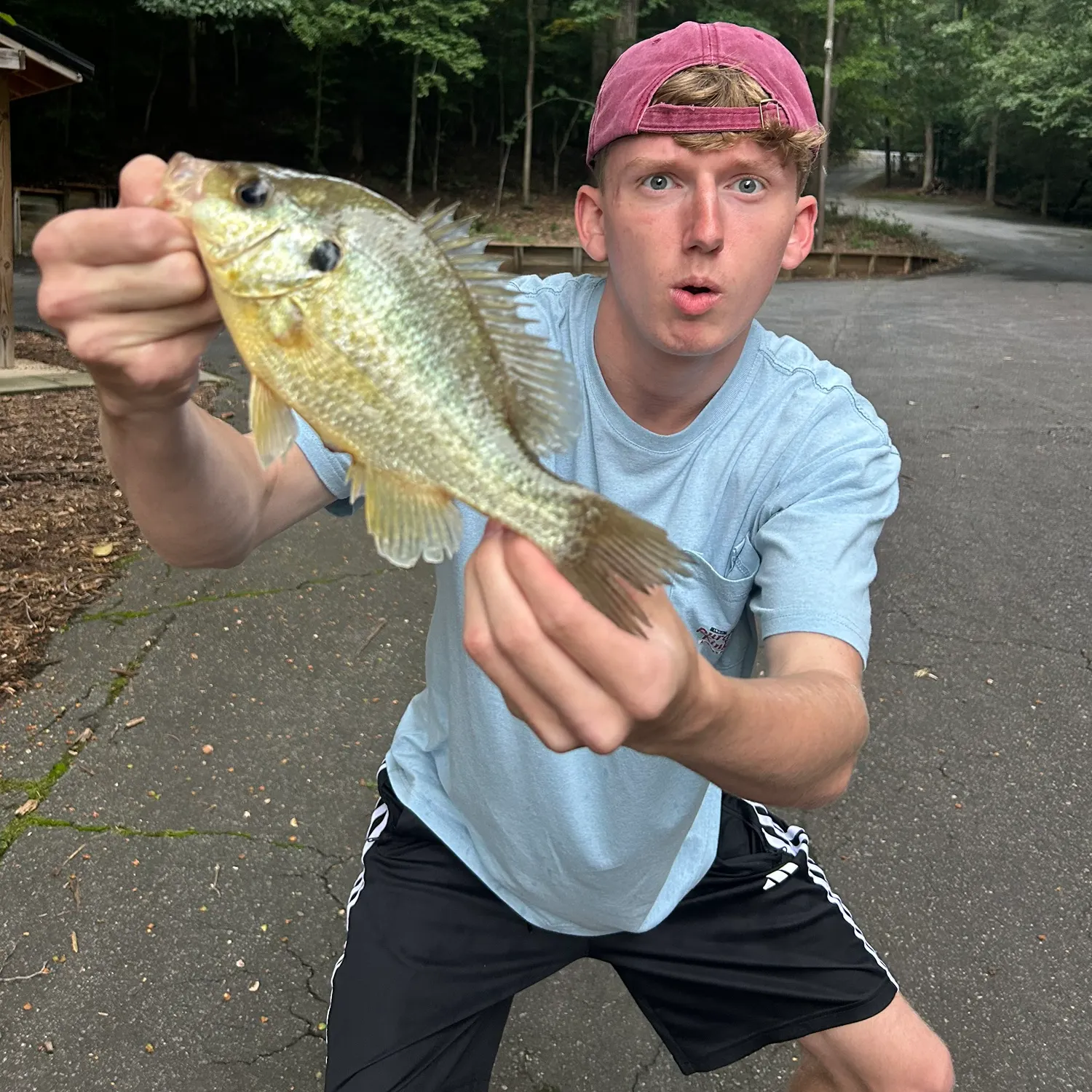 catch