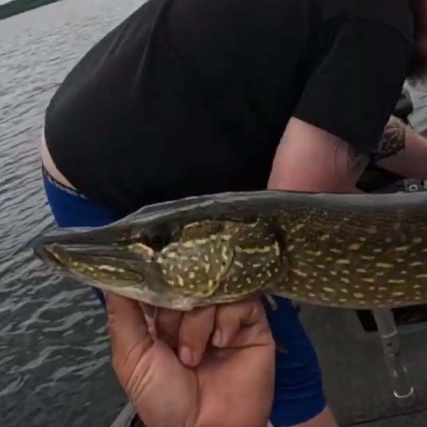 angler catch