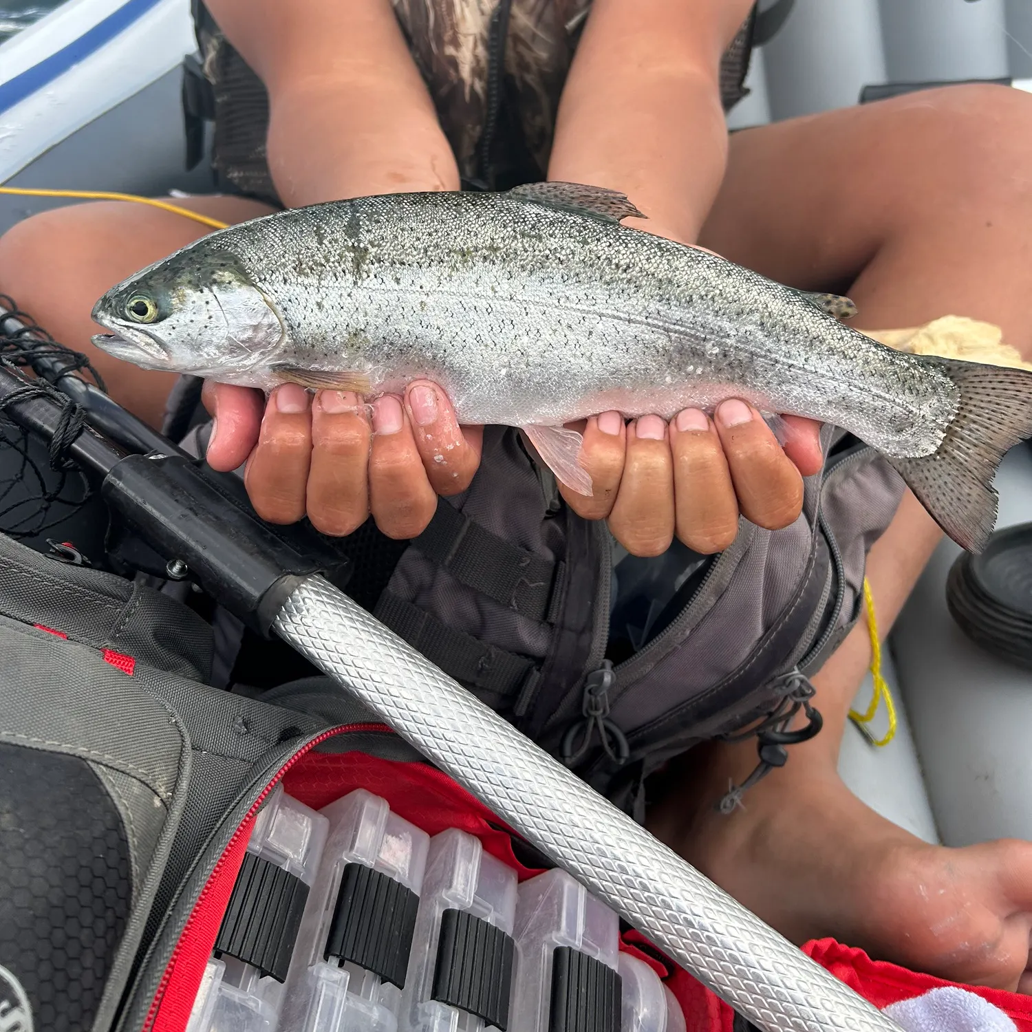 The most recent Kokanee salmon catches on Fishbrain