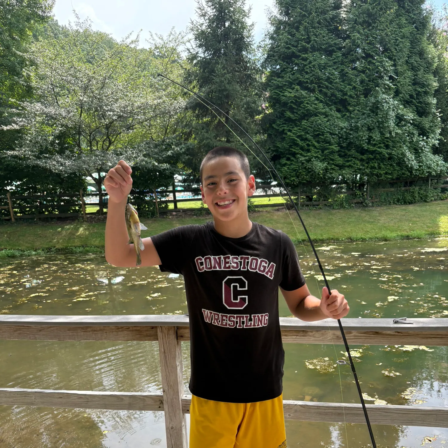 recently logged catches