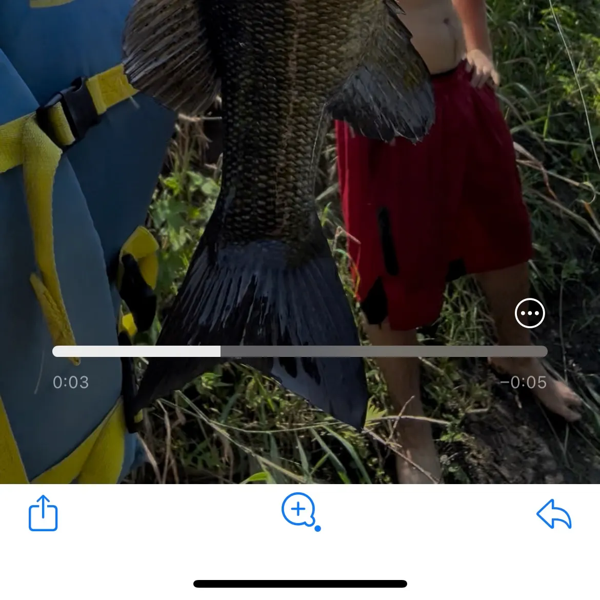 recently logged catches