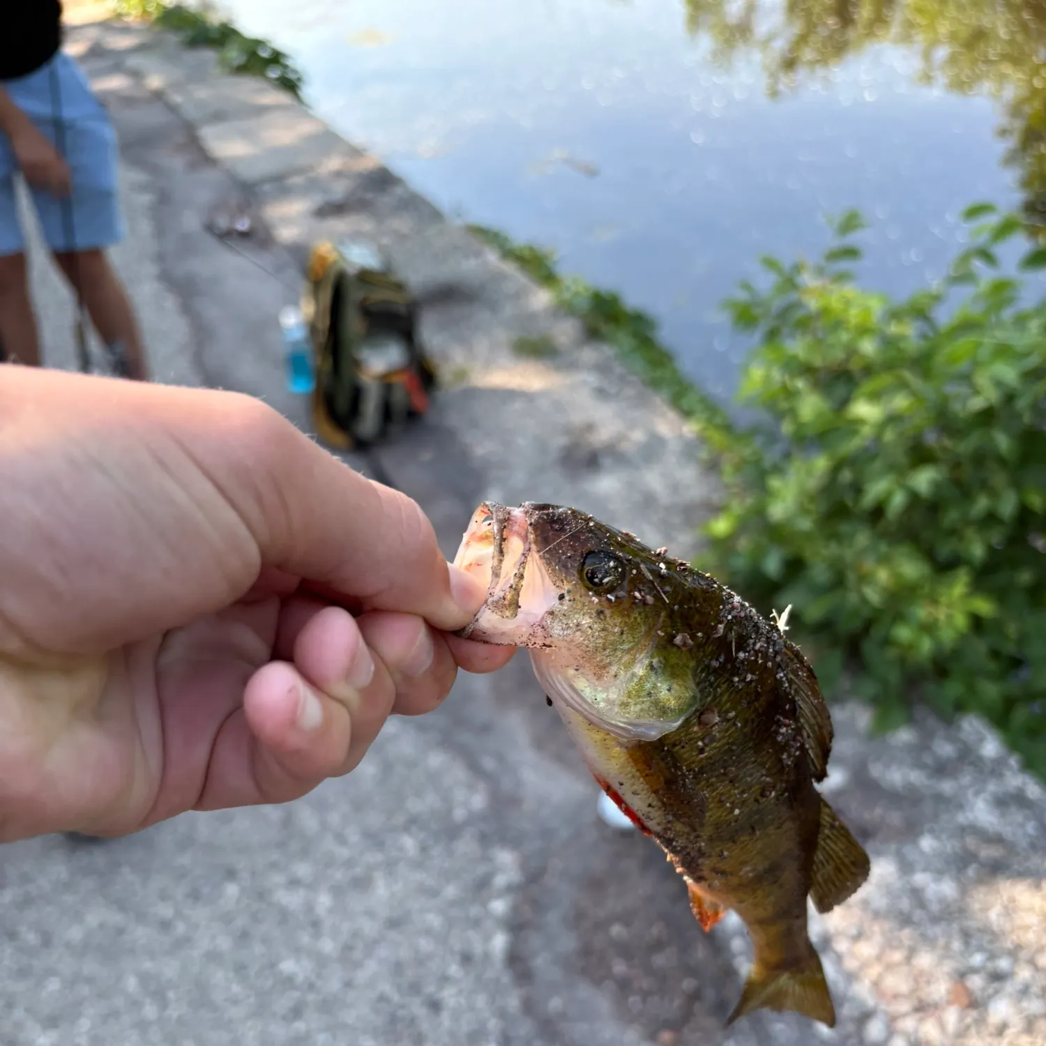 catch