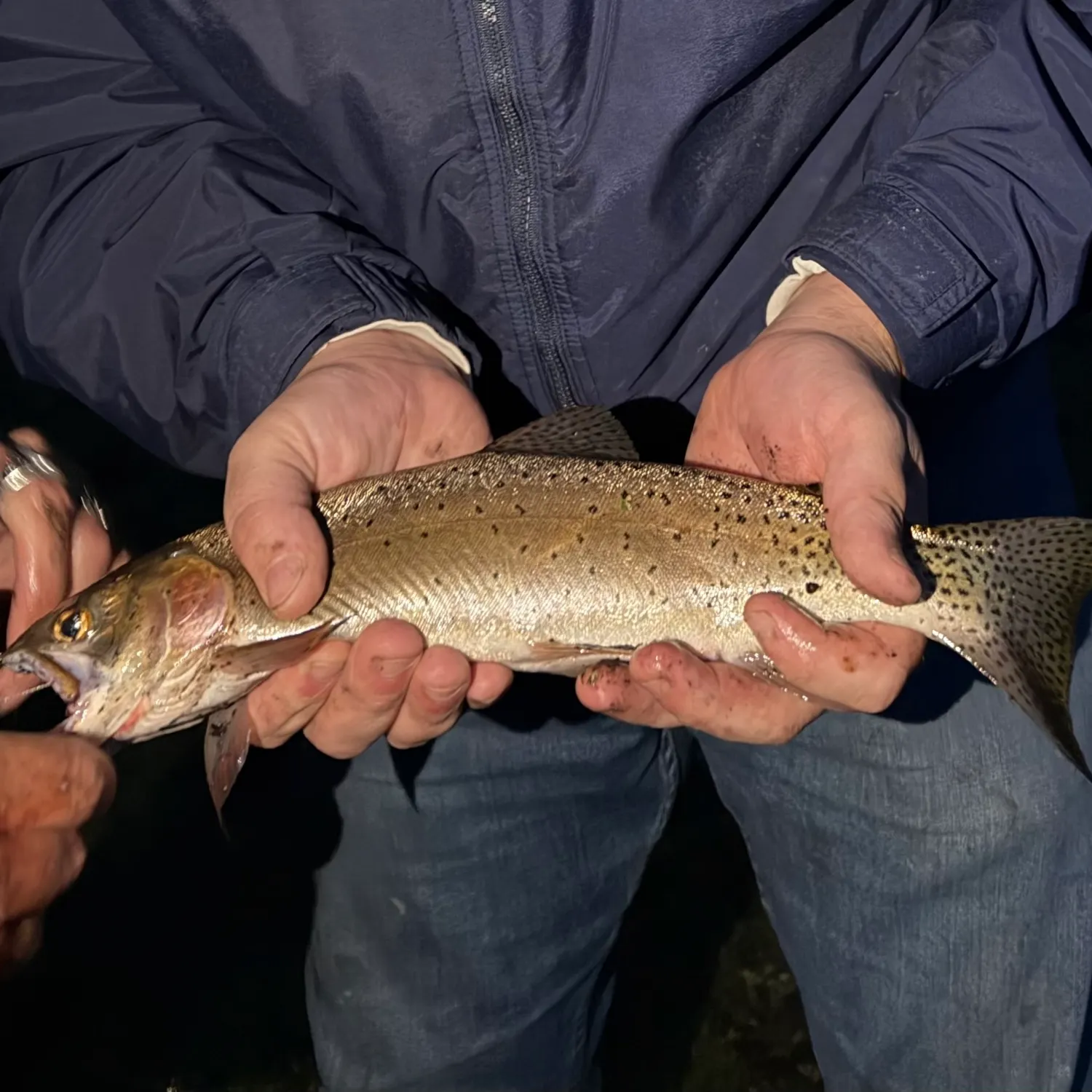 Bonneville cutthroat trout caught on Fishbrain