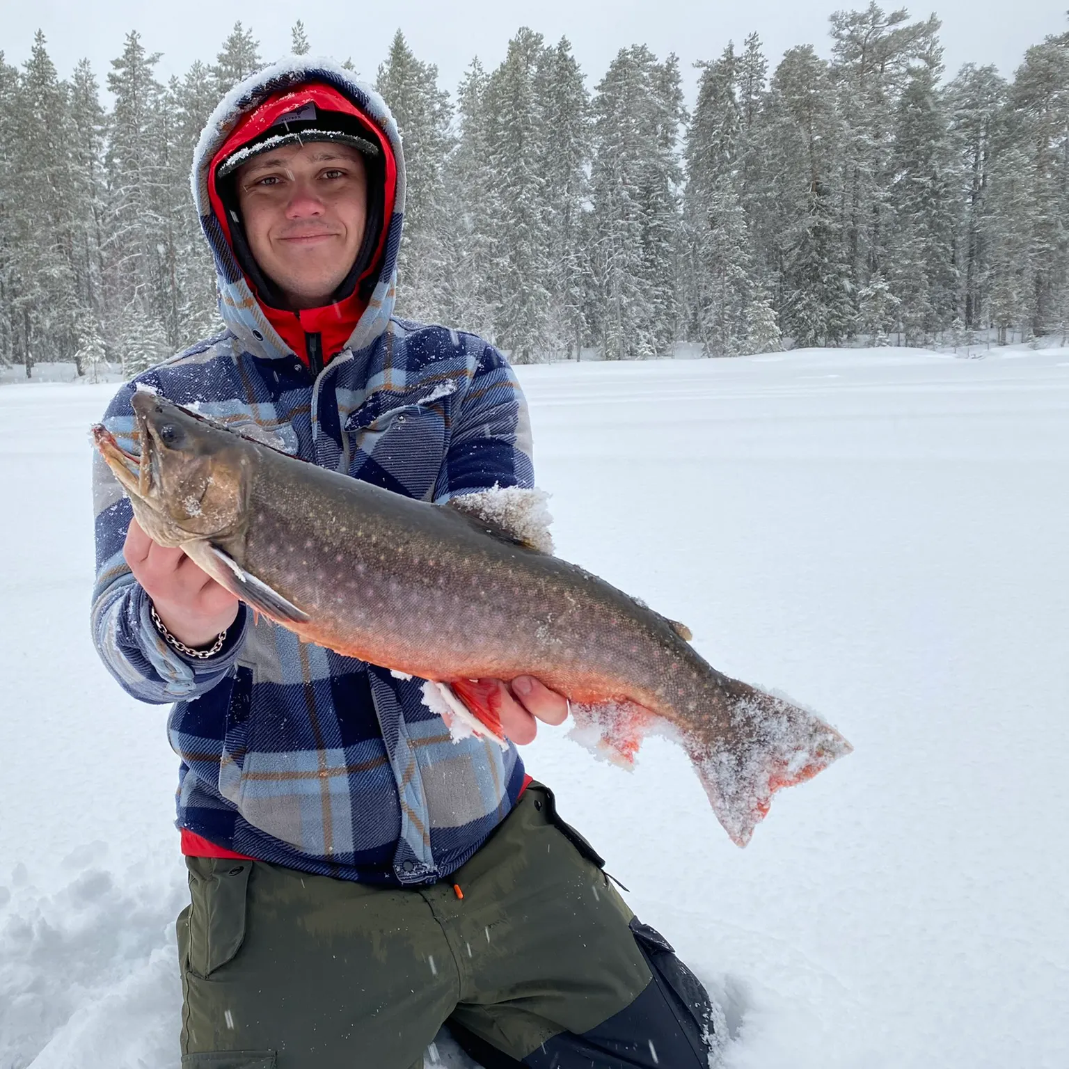 The most recent Arctic char catches on Fishbrain