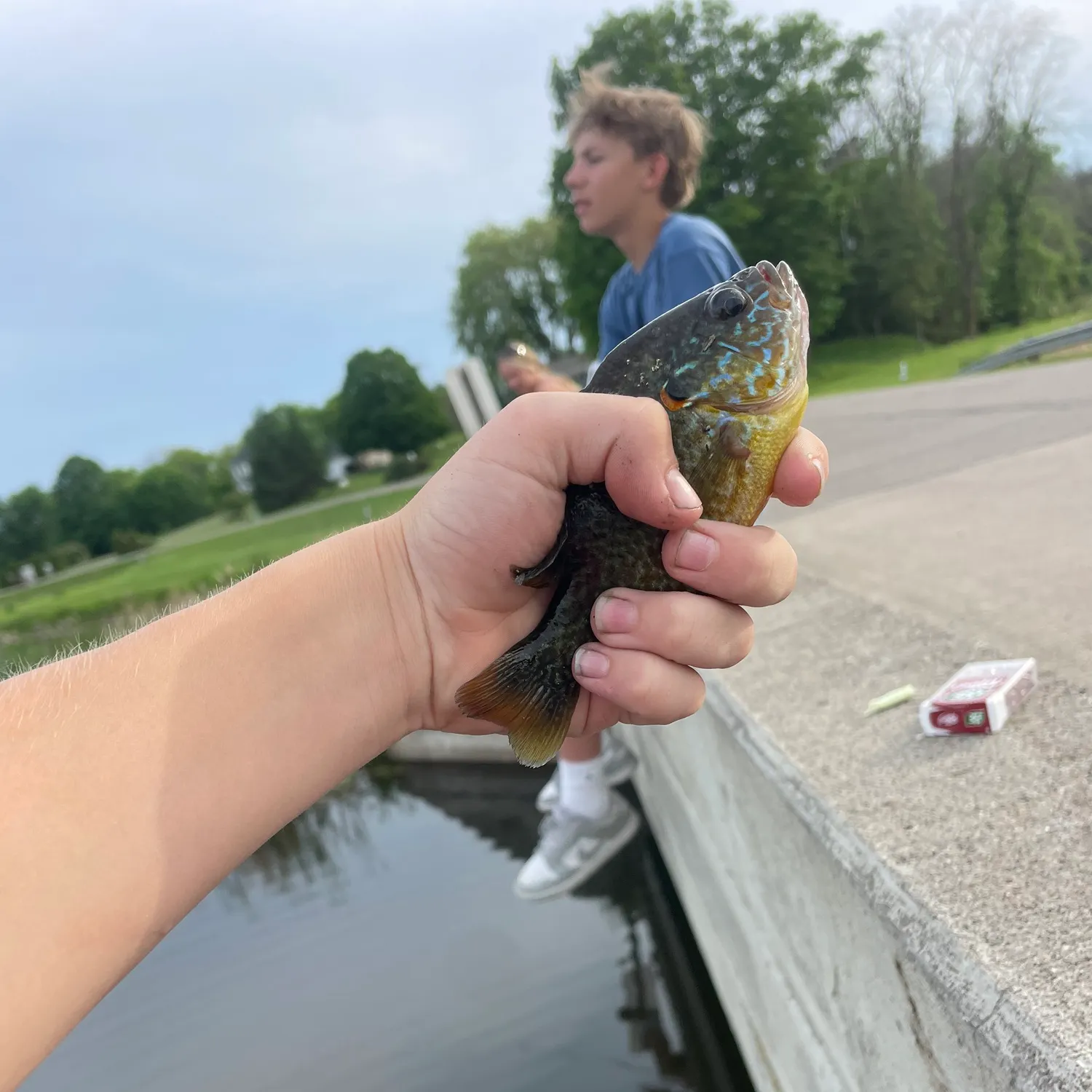 catch