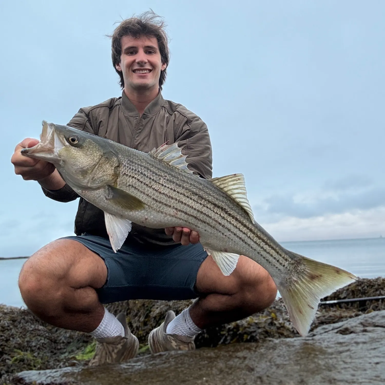 Striped bass caught on Fishbrain