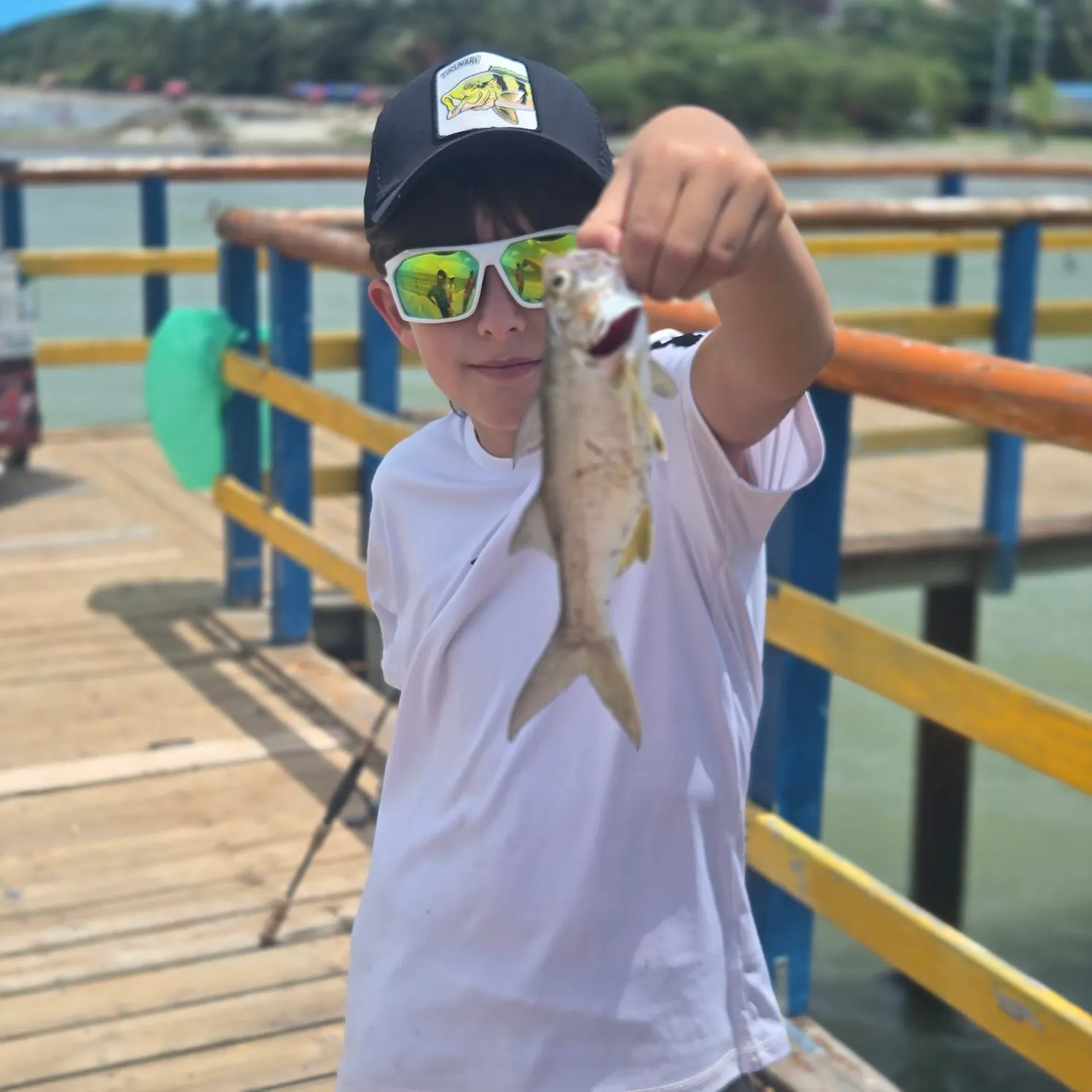 The most recent Jamaica weakfish catches on Fishbrain
